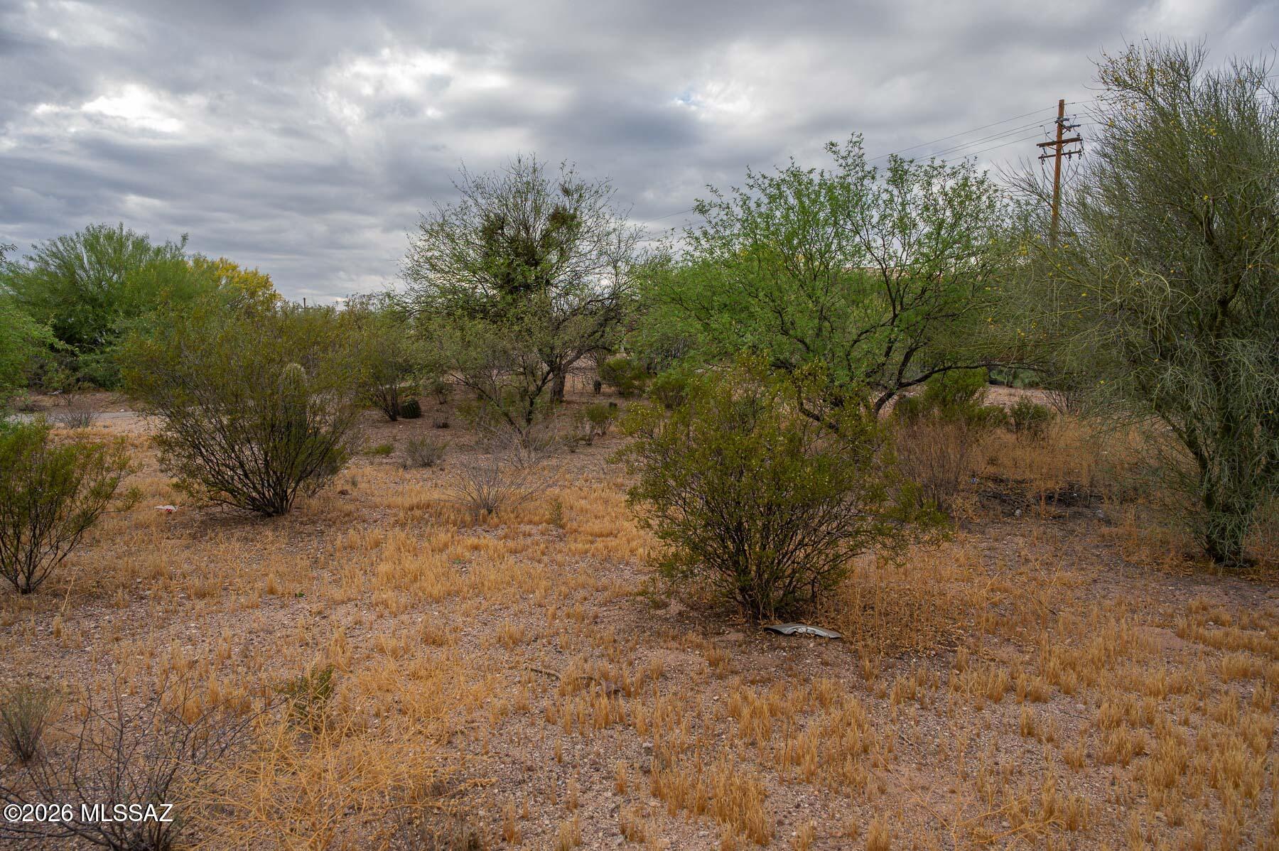 Forty Niners Country Club Estates - Land