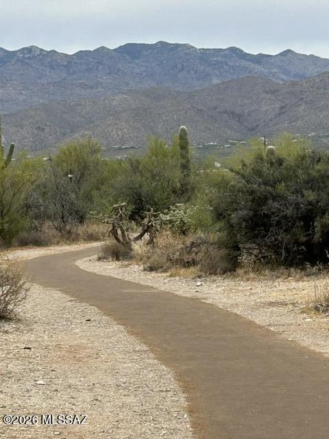 Saguaro Cerro Estates - Residential