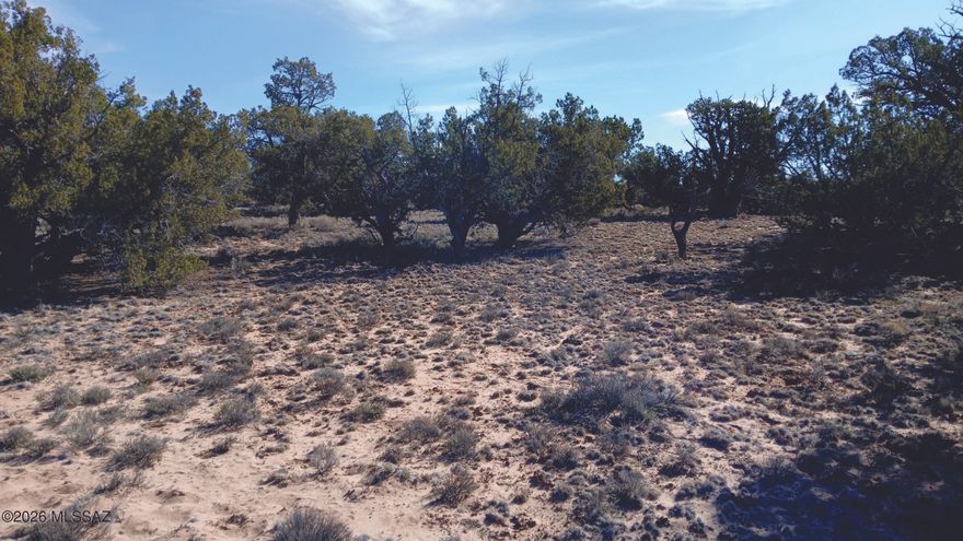 Nearly 9 acres of peace and quiet. Situated in beautiful Apache County. Perfect to start your off-grid dream. Enjoy the Arizona Outback with plenty of room for all of your animals. Seller financing is available with $2900 Down plus Pioneer Title account setup and closing Costs, for 3 years at 9.9 percent interest. with a payment of $225.54 per month plus Pioneer Title Processing fee and impounded property tax.