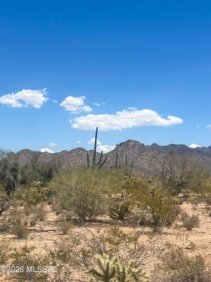 2494 N CAMINO AVRA, TUCSON, AZ 85743 - Image d3dfd30cfbfc77e07d97414efe8c6ec6/1055002759