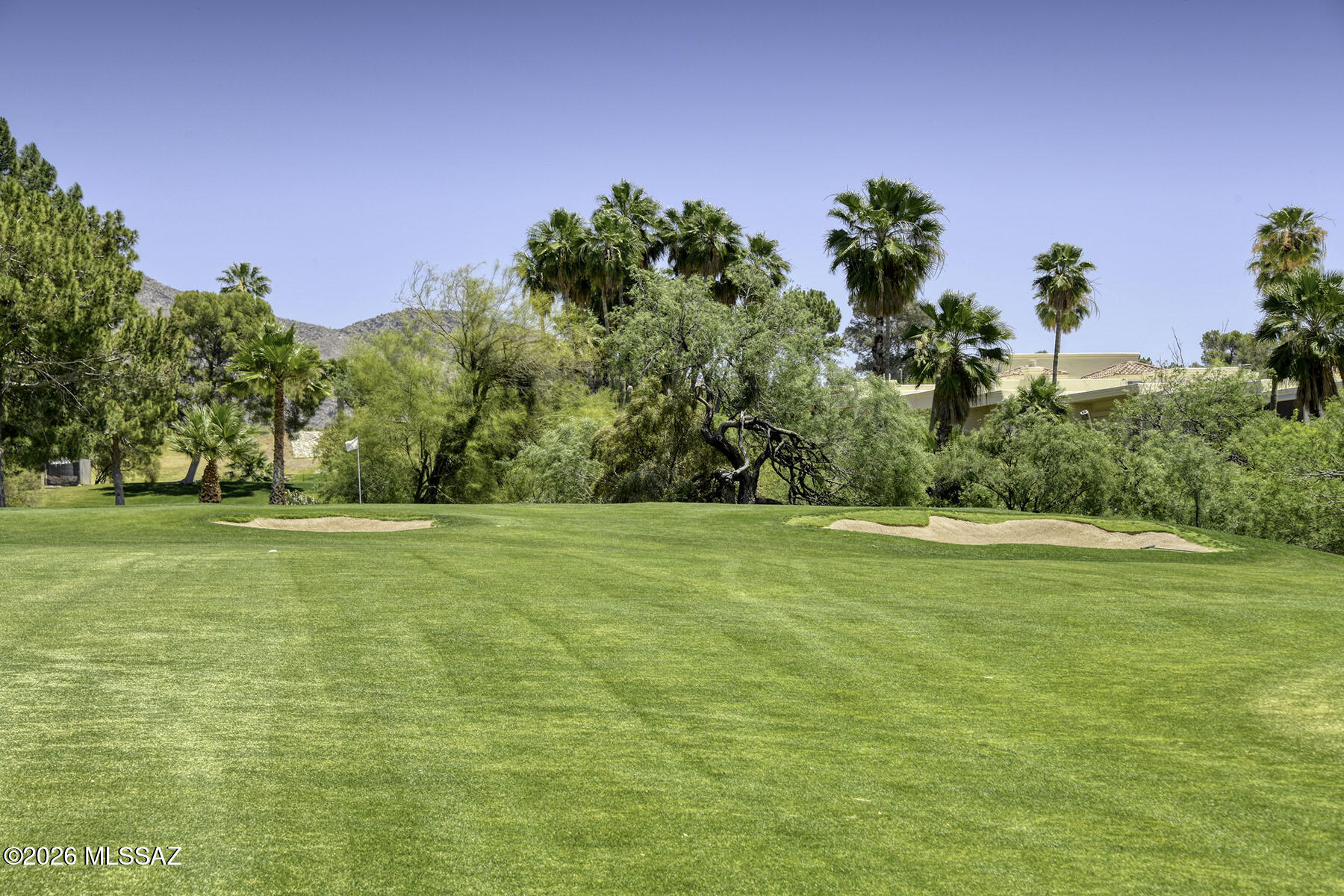 El Diamante Townhomes (1-15) - Residential