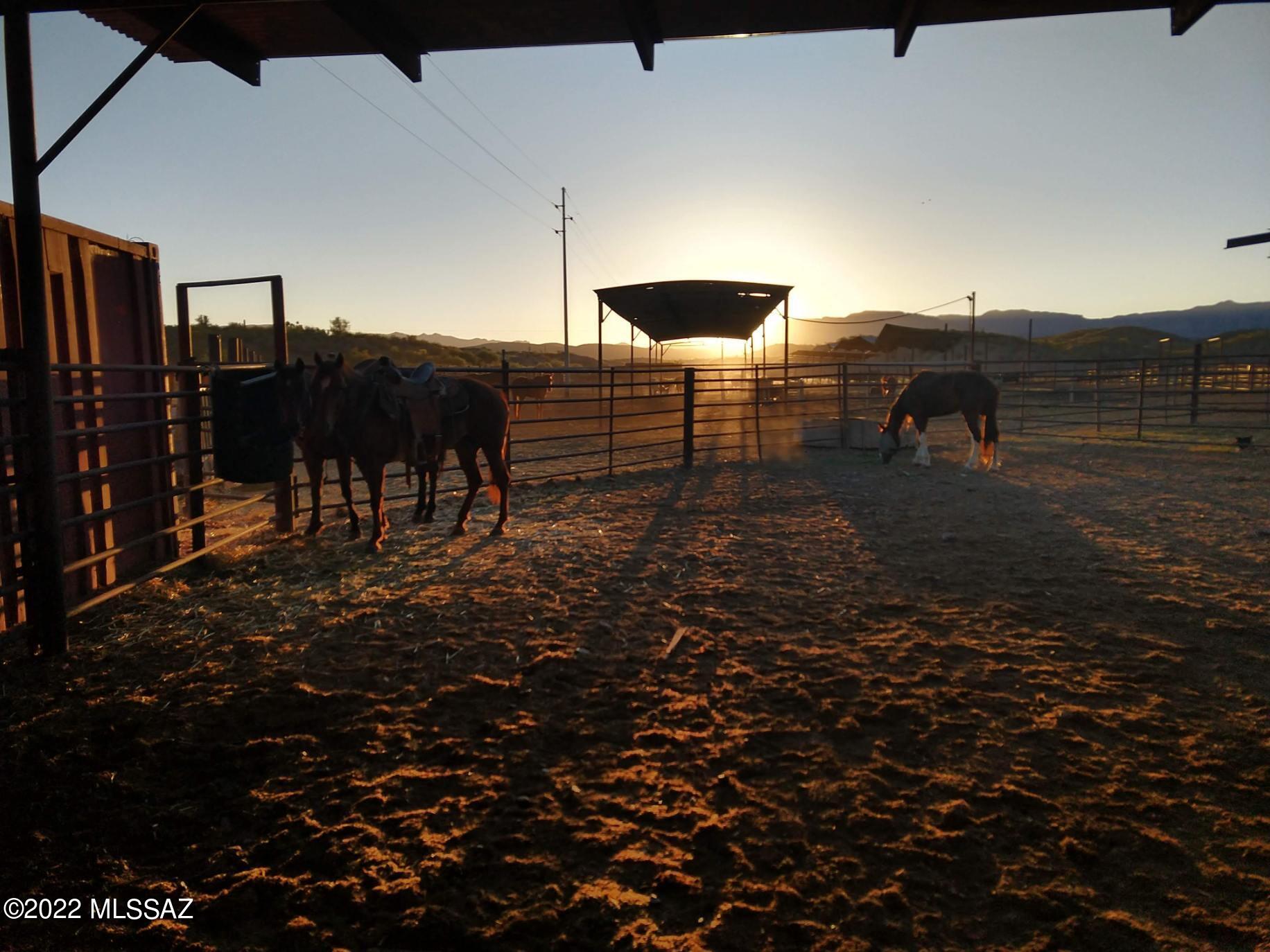 Unsubdivided - Farm