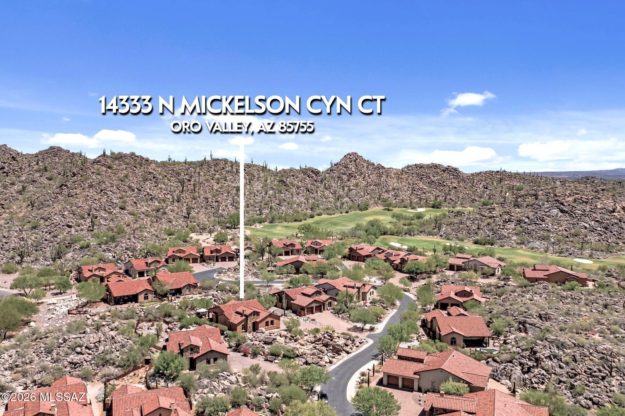 14333 N Mickelson Canyon Court