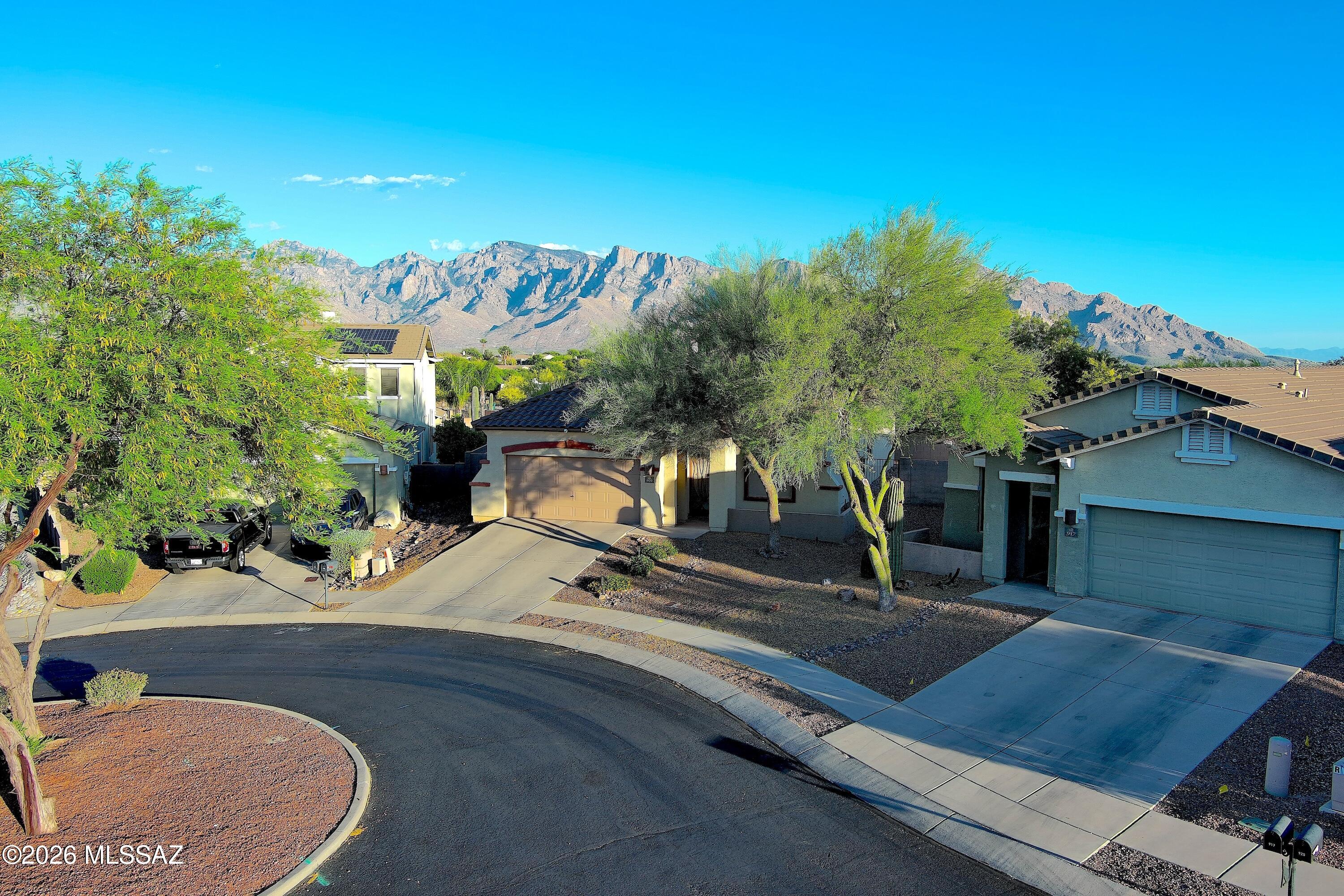 909 W Leatherleaf Drive