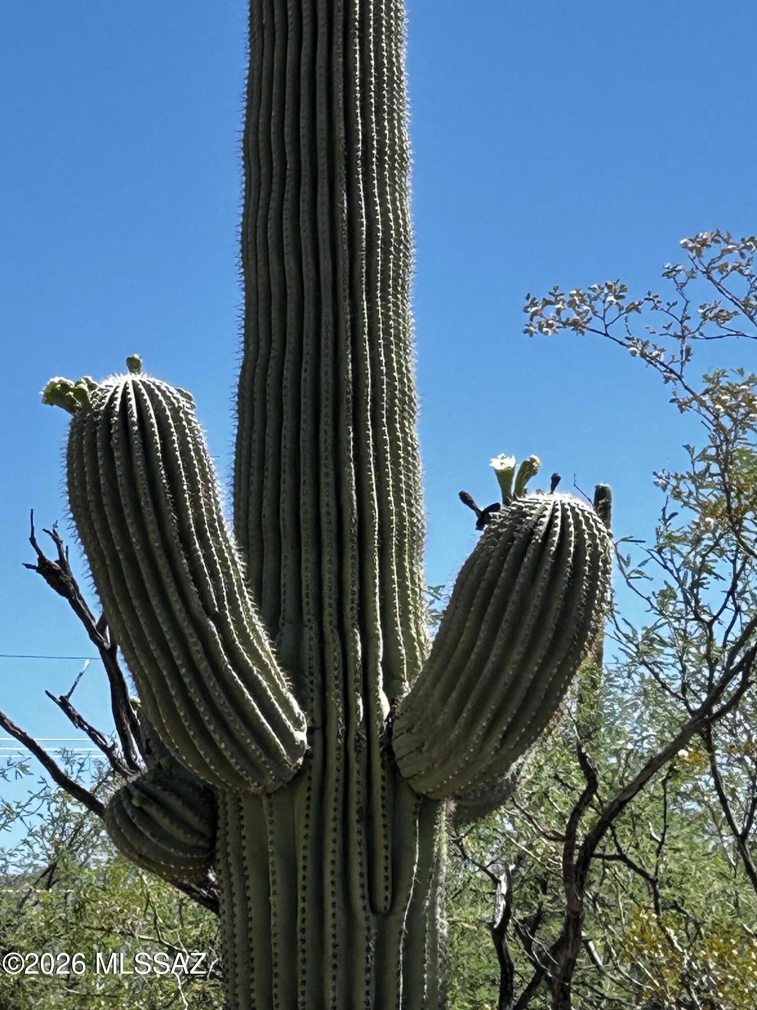 Agua Caliente Ranch Estates (1-46) - Land