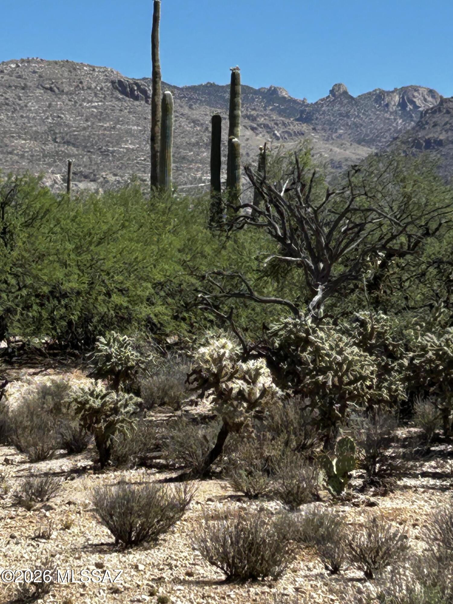 Agua Caliente Ranch Estates (1-46) - Land