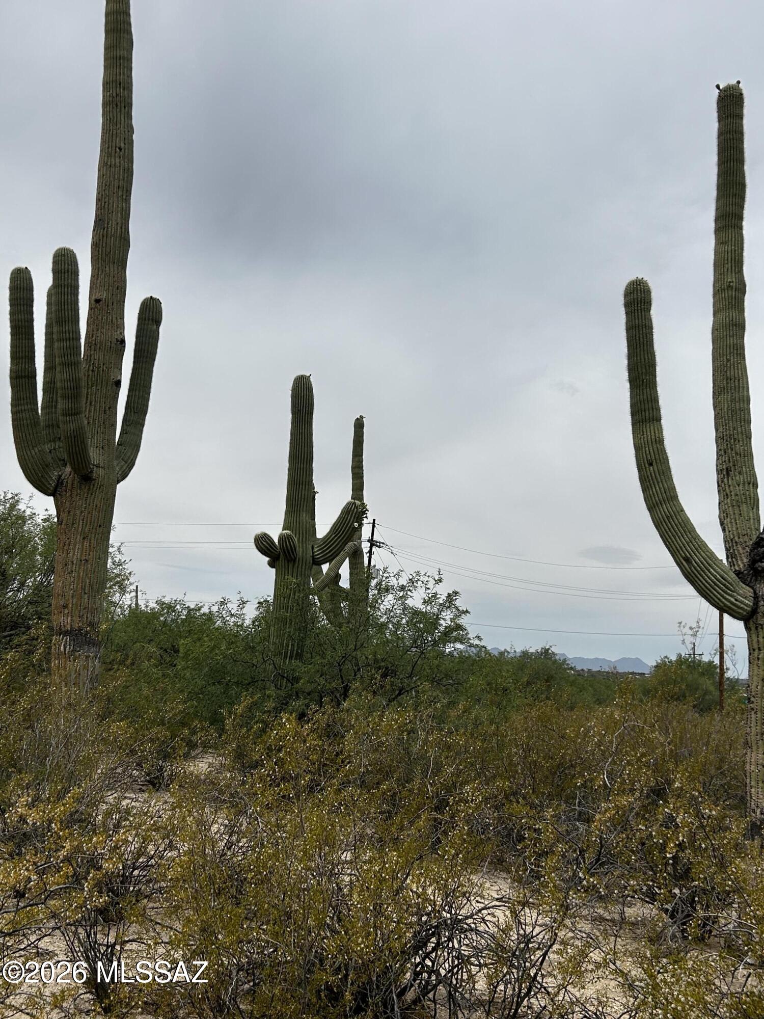Agua Caliente Ranch Estates (1-46) - Land