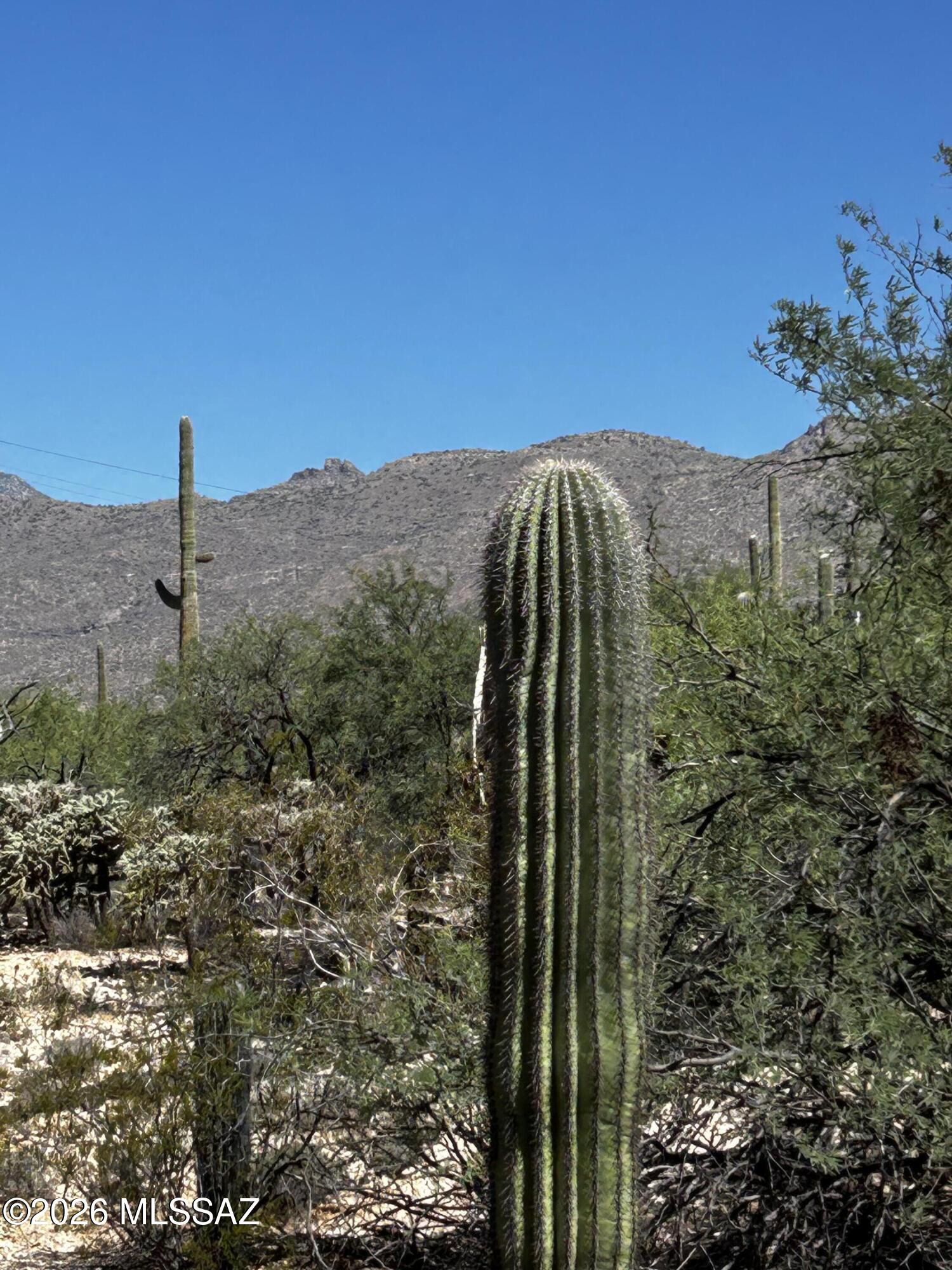Agua Caliente Ranch Estates (1-46) - Land