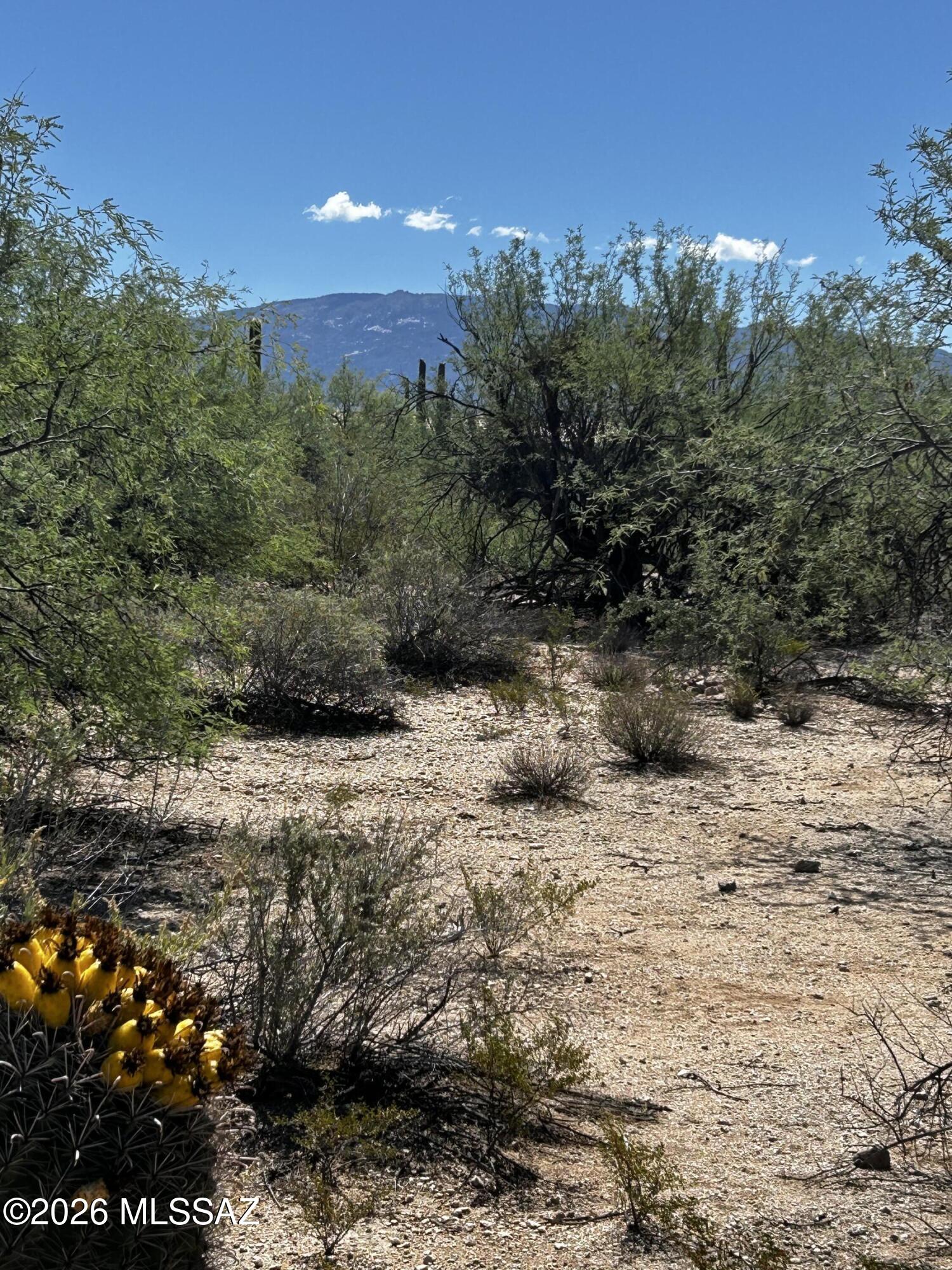 Agua Caliente Ranch Estates (1-46) - Land