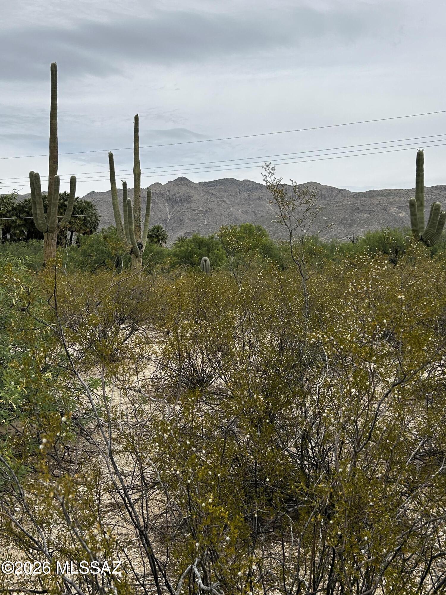 Agua Caliente Ranch Estates (1-46) - Land