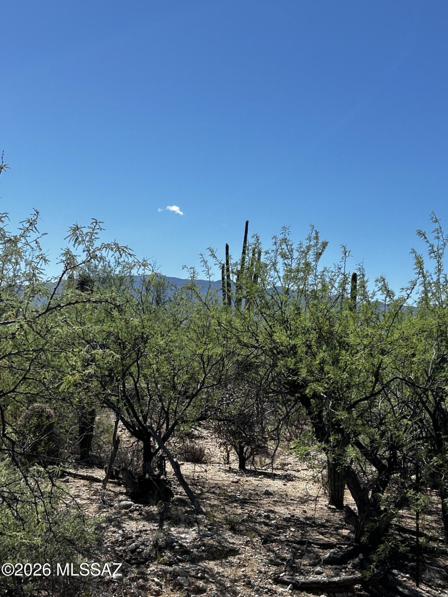 Agua Caliente Ranch Estates (1-46) - Land