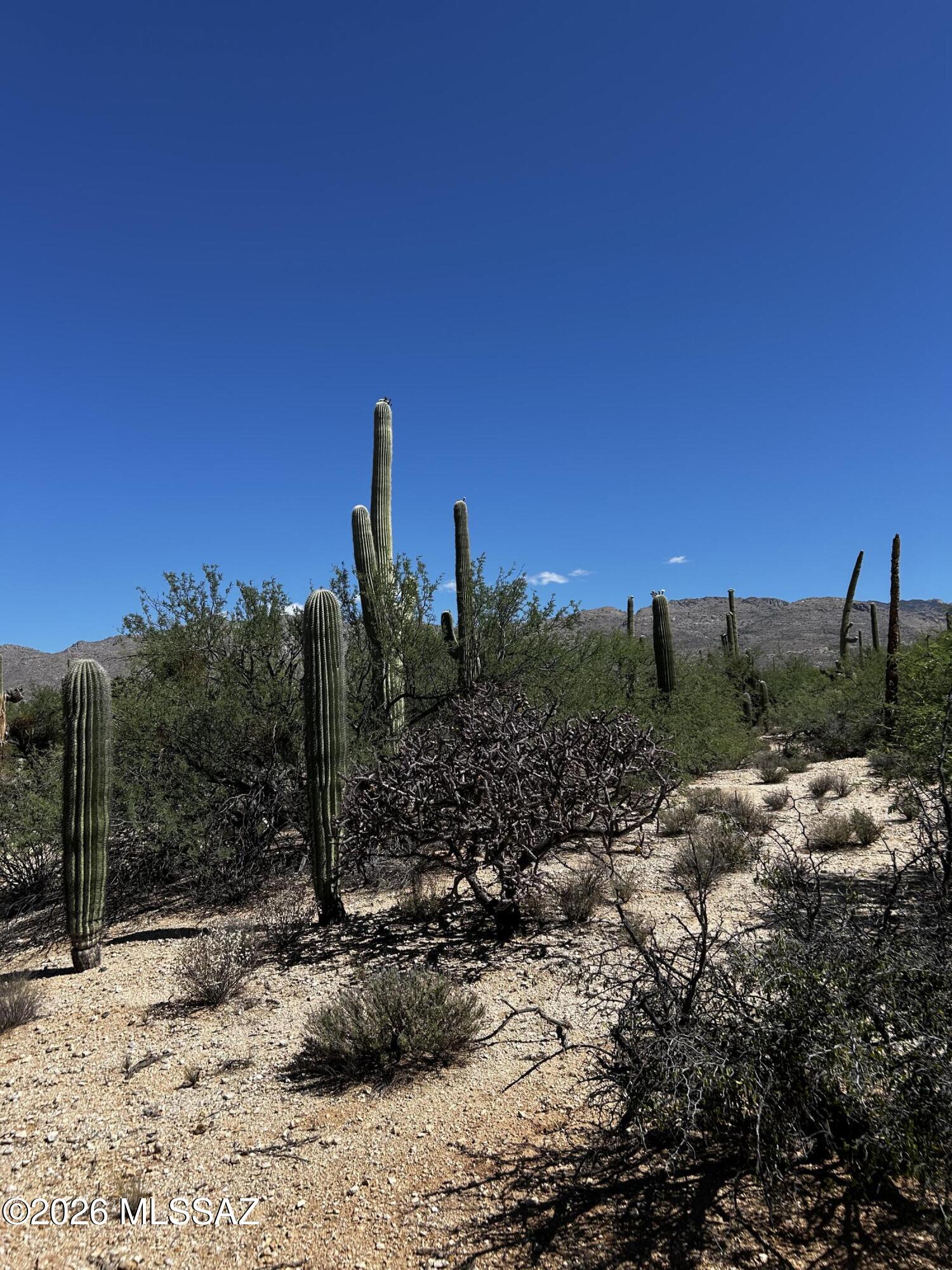Agua Caliente Ranch Estates (1-46) - Land