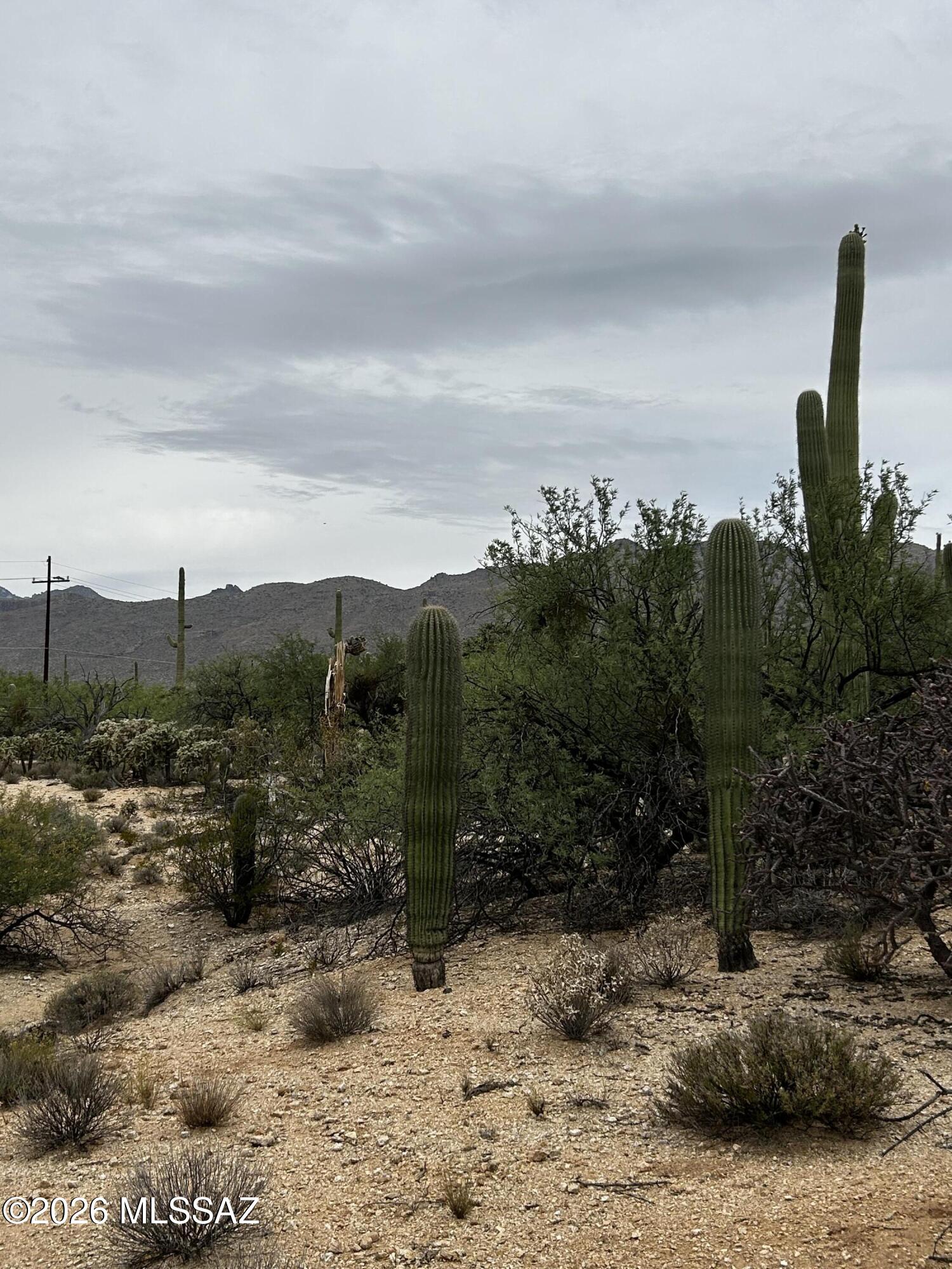 Agua Caliente Ranch Estates (1-46) - Land