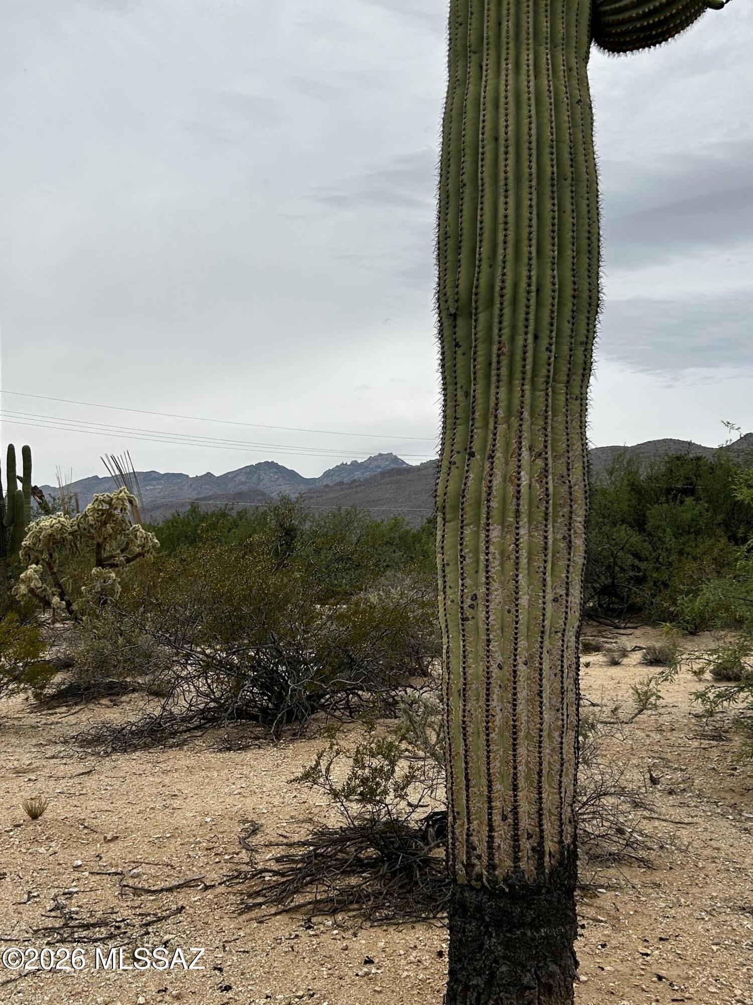 Agua Caliente Ranch Estates (1-46) - Land