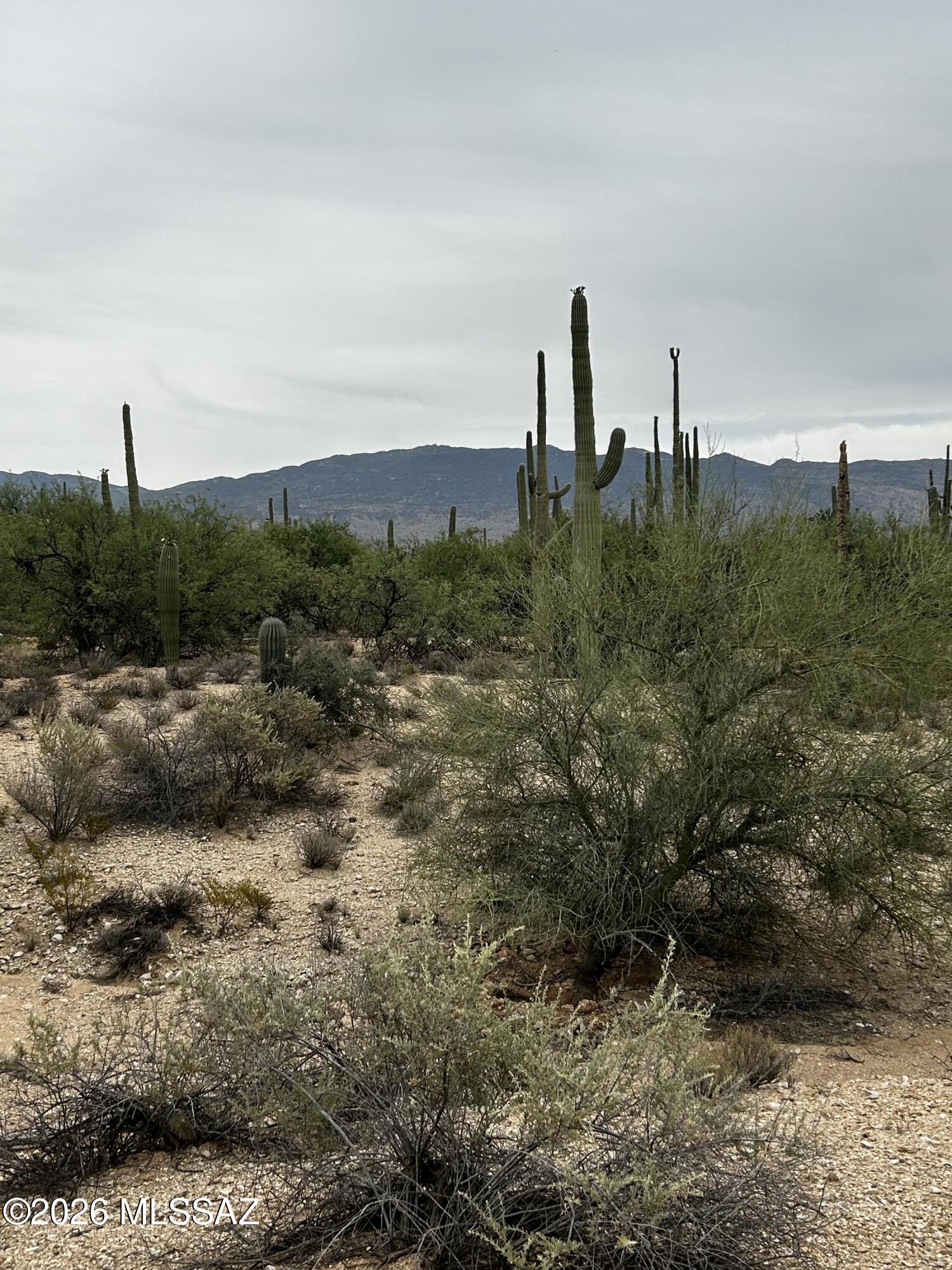 Agua Caliente Ranch Estates (1-46) - Land