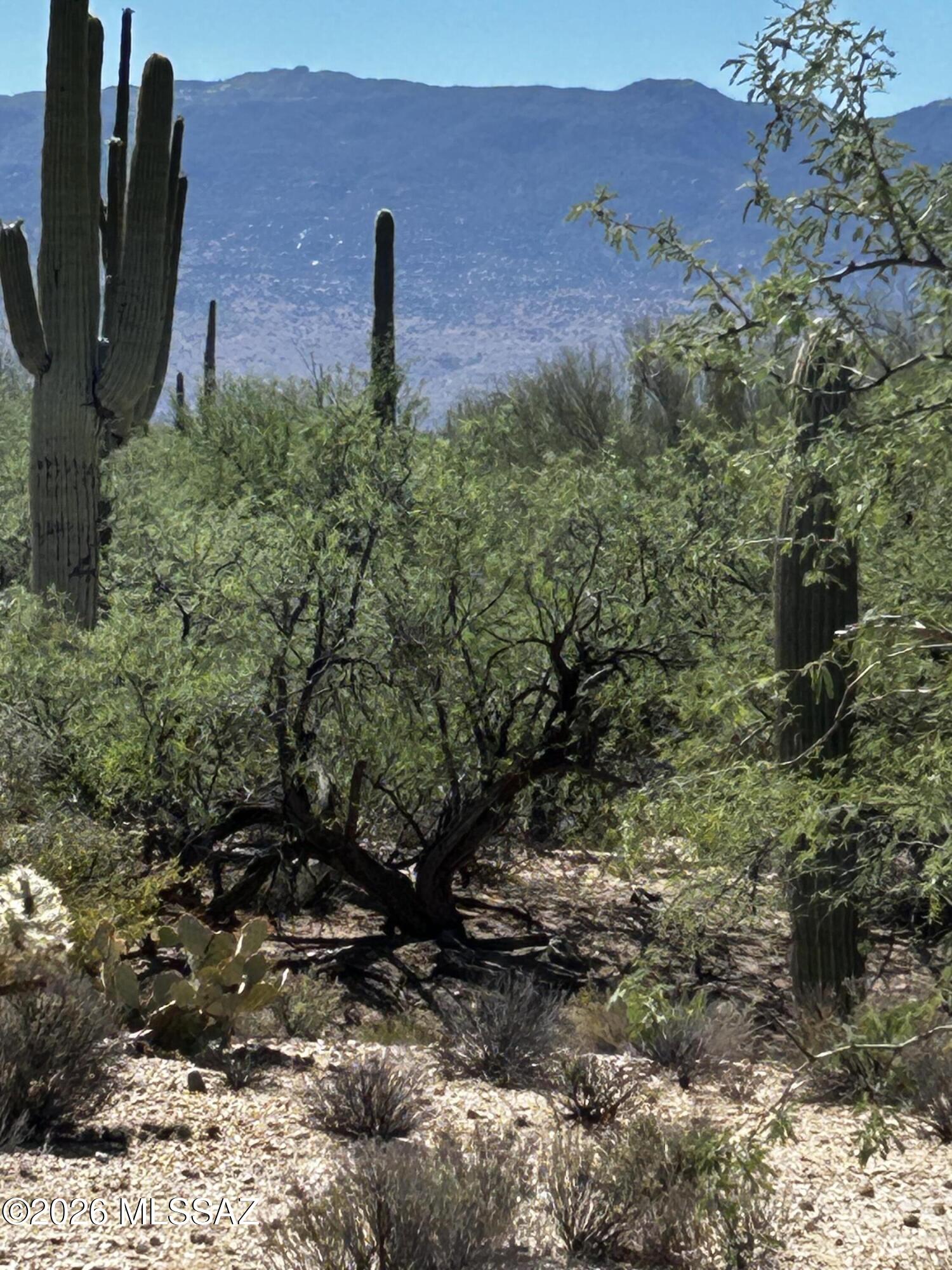 Agua Caliente Ranch Estates (1-46) - Land