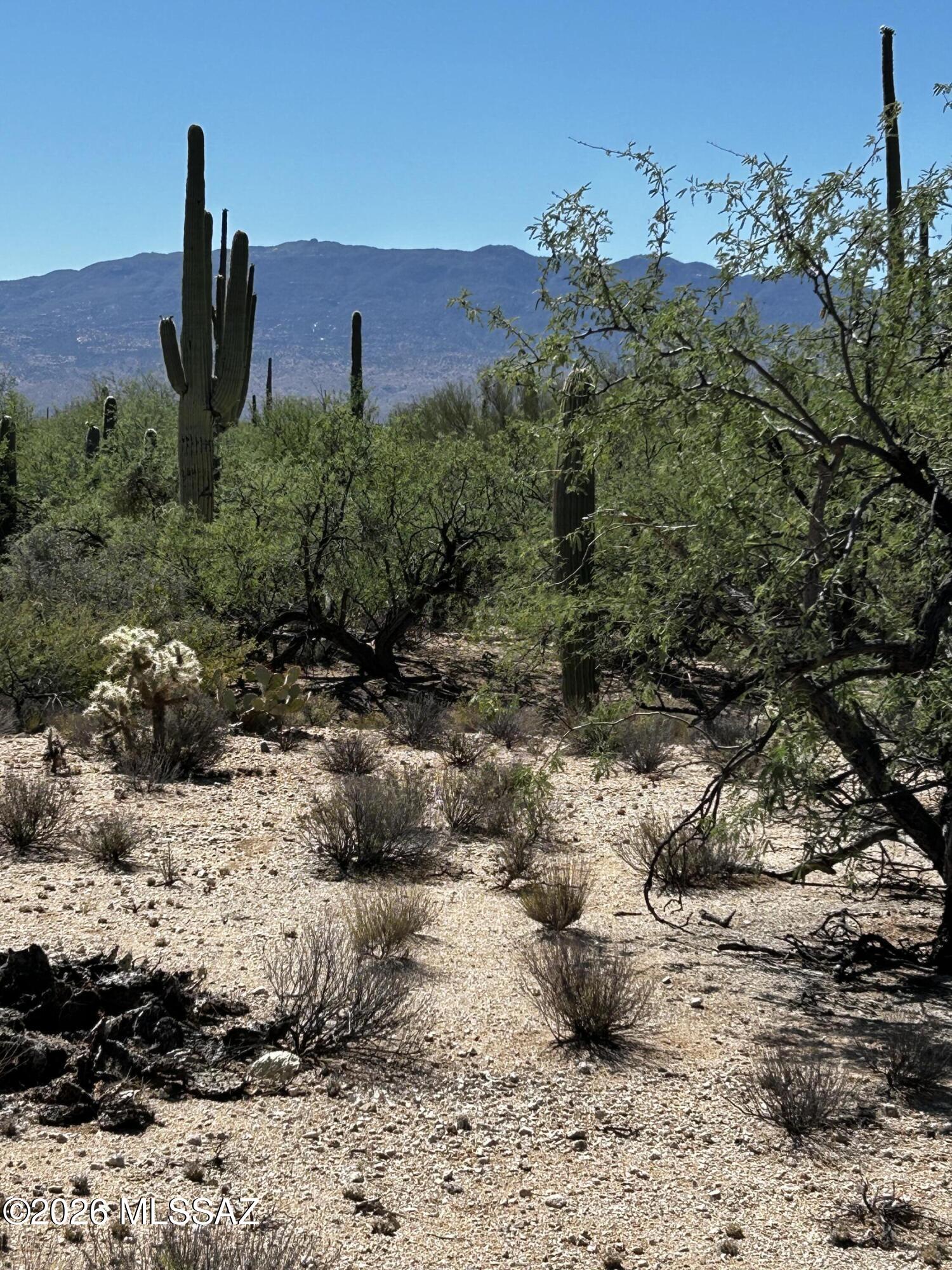Agua Caliente Ranch Estates (1-46) - Land