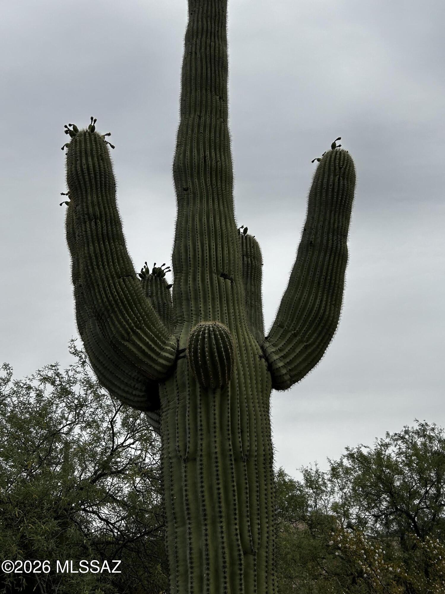 Agua Caliente Ranch Estates (1-46) - Land