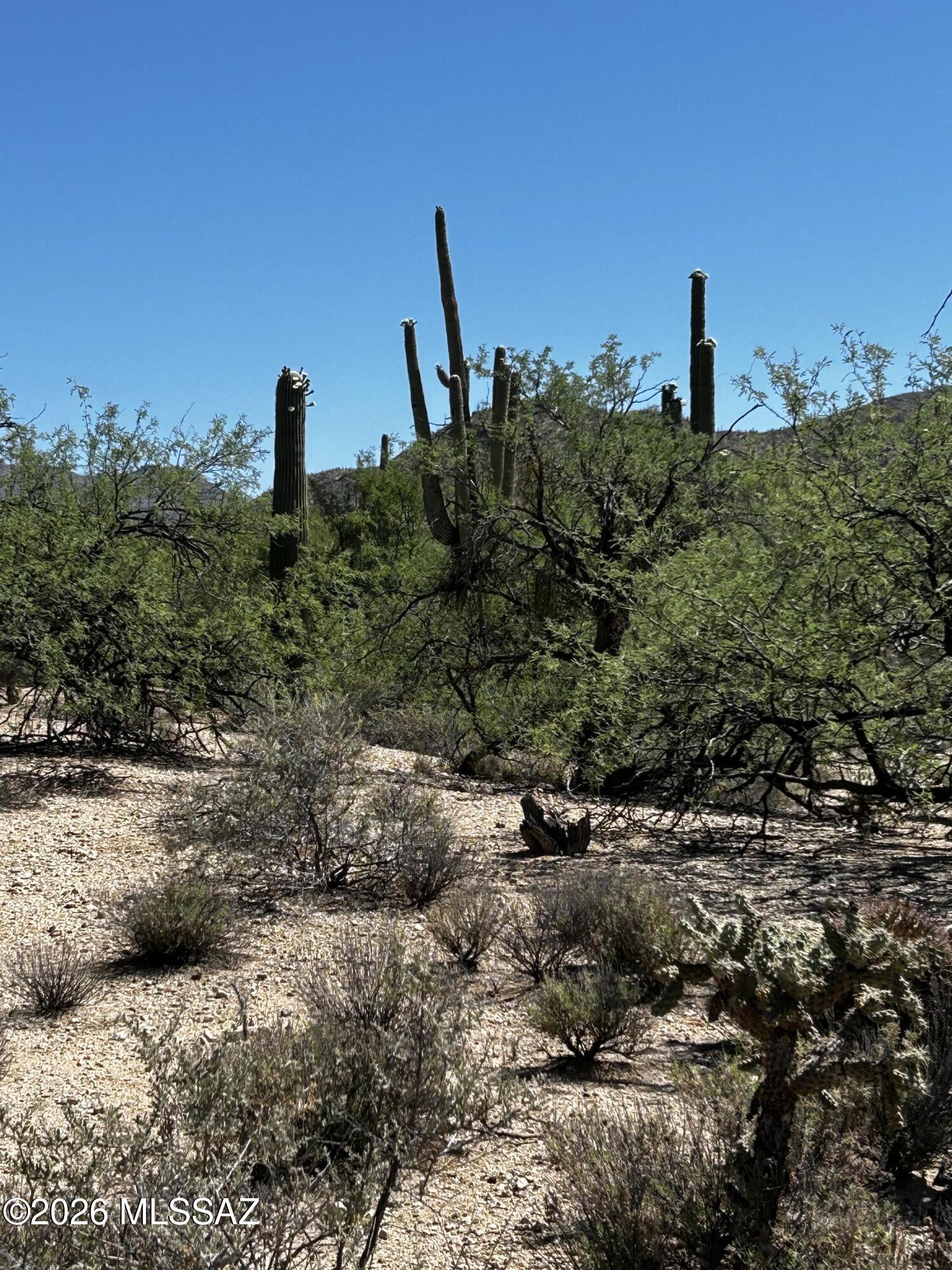 Agua Caliente Ranch Estates (1-46) - Land
