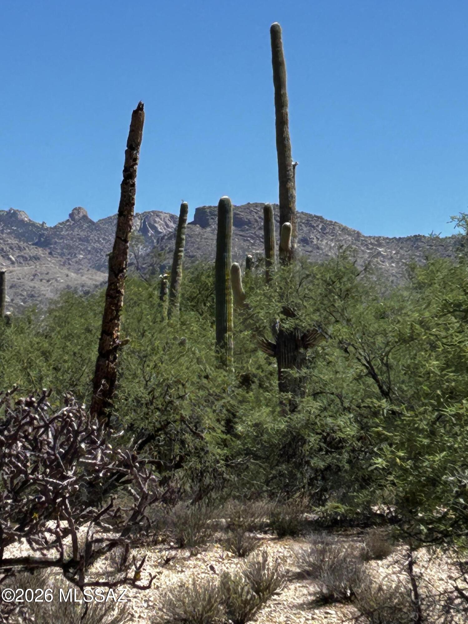 Agua Caliente Ranch Estates (1-46) - Land