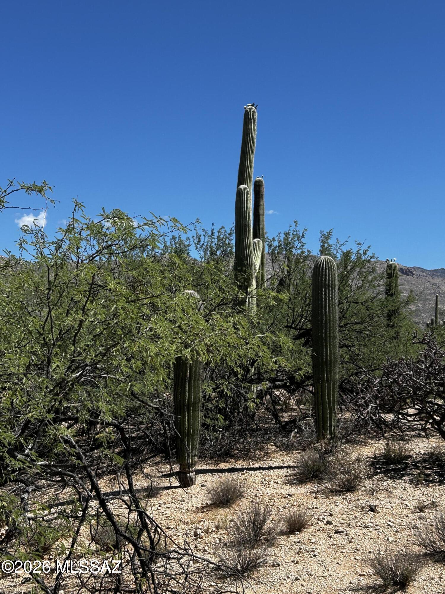 Agua Caliente Ranch Estates (1-46) - Land