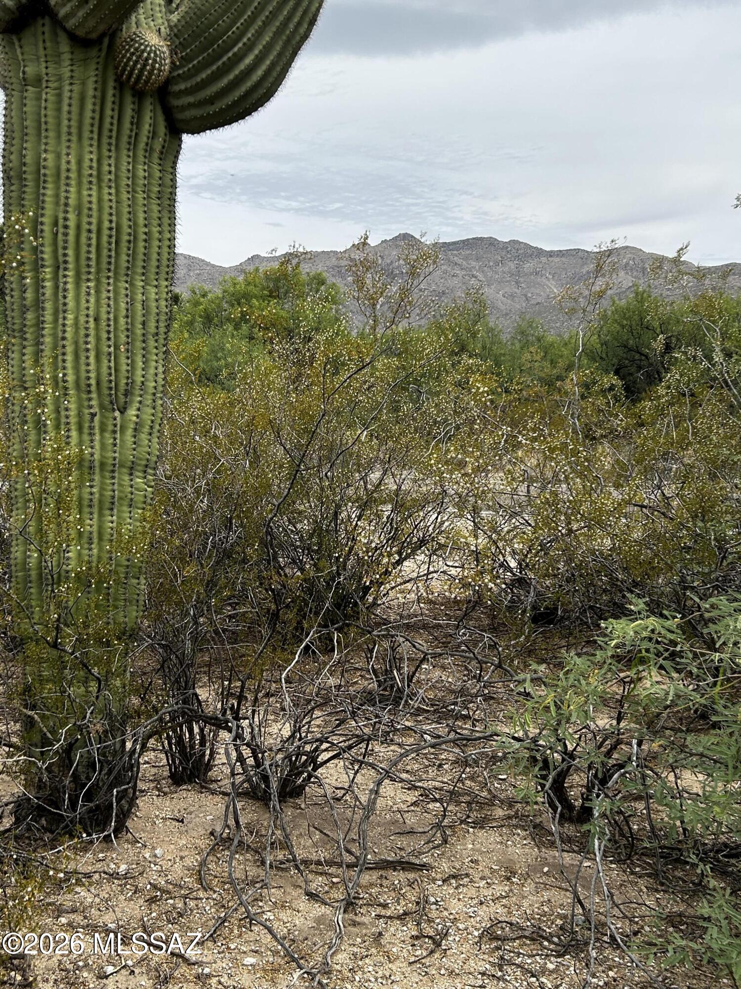 Agua Caliente Ranch Estates (1-46) - Land