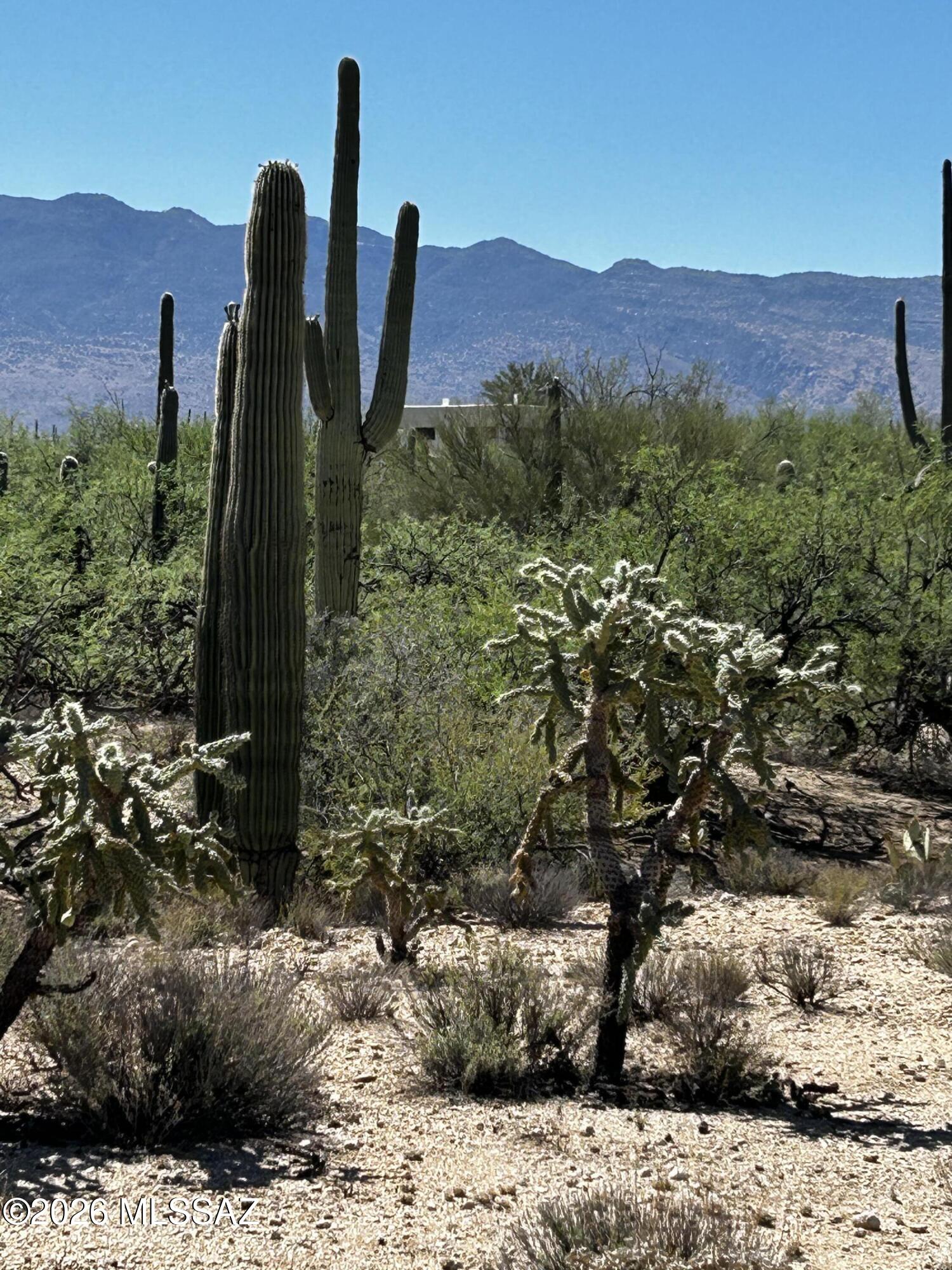 Agua Caliente Ranch Estates (1-46) - Land