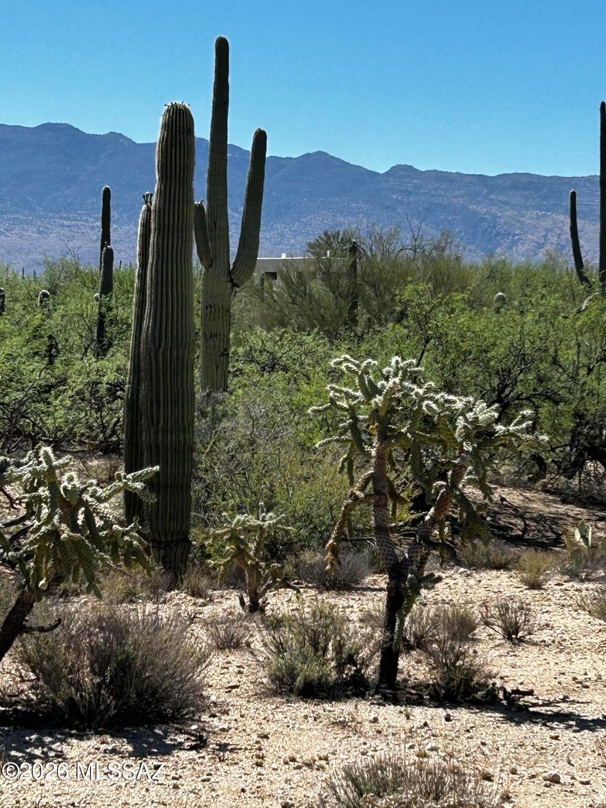 Beautiful 3.4 Acres of flat Horse Property across the Street from the lovely  Agua Caliente Park!  Easy site prep and completely  useable land. No HOA! Award winning Tanque Verde Schools.