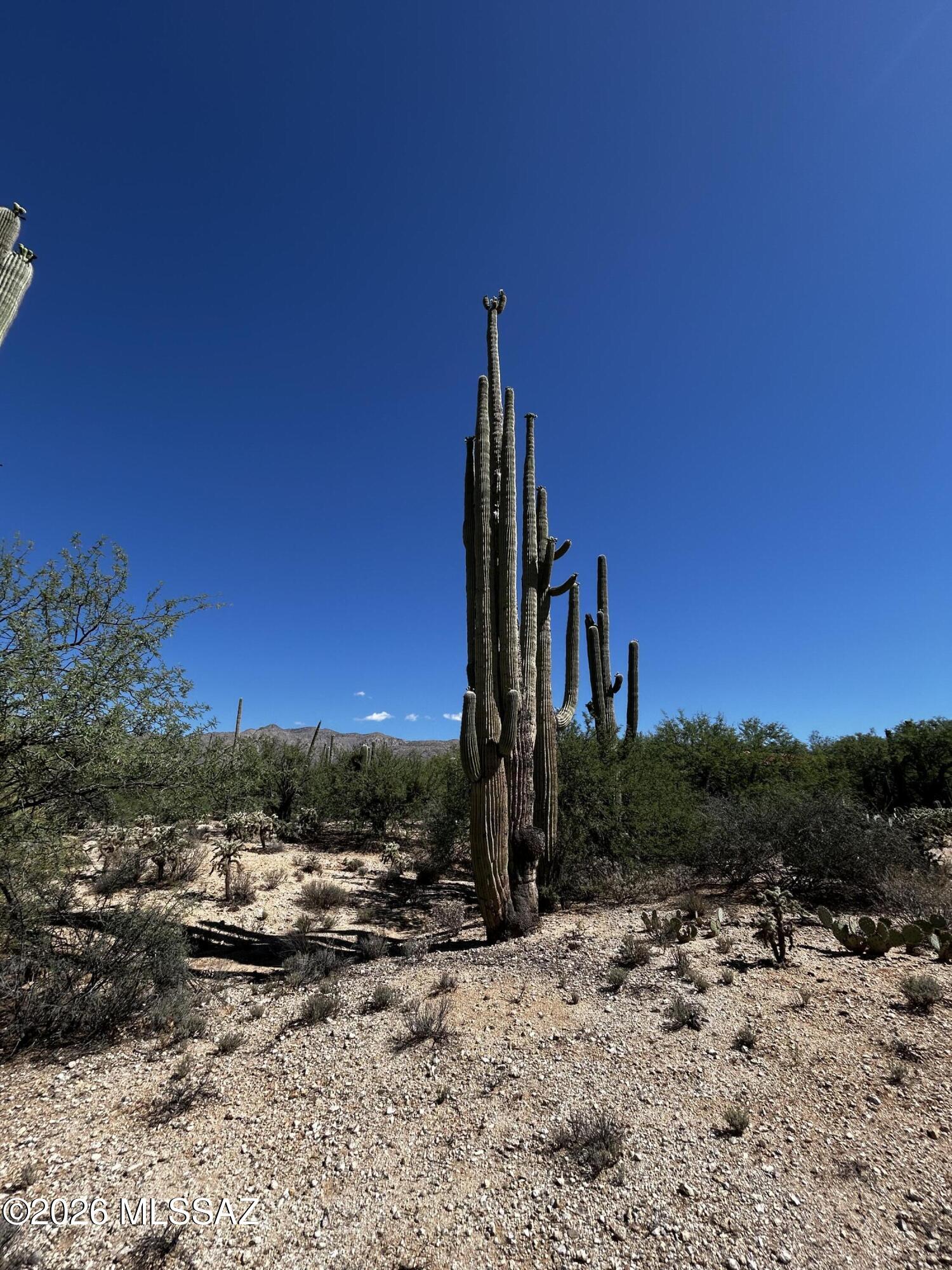 Agua Caliente Ranch Estates (1-46) - Land