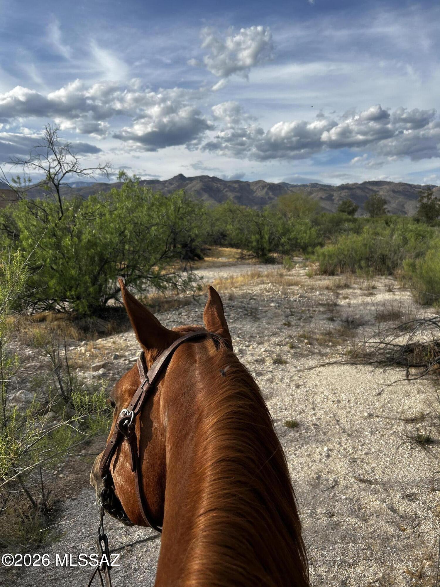 Agua Caliente Ranch Estates (1-46) - Land
