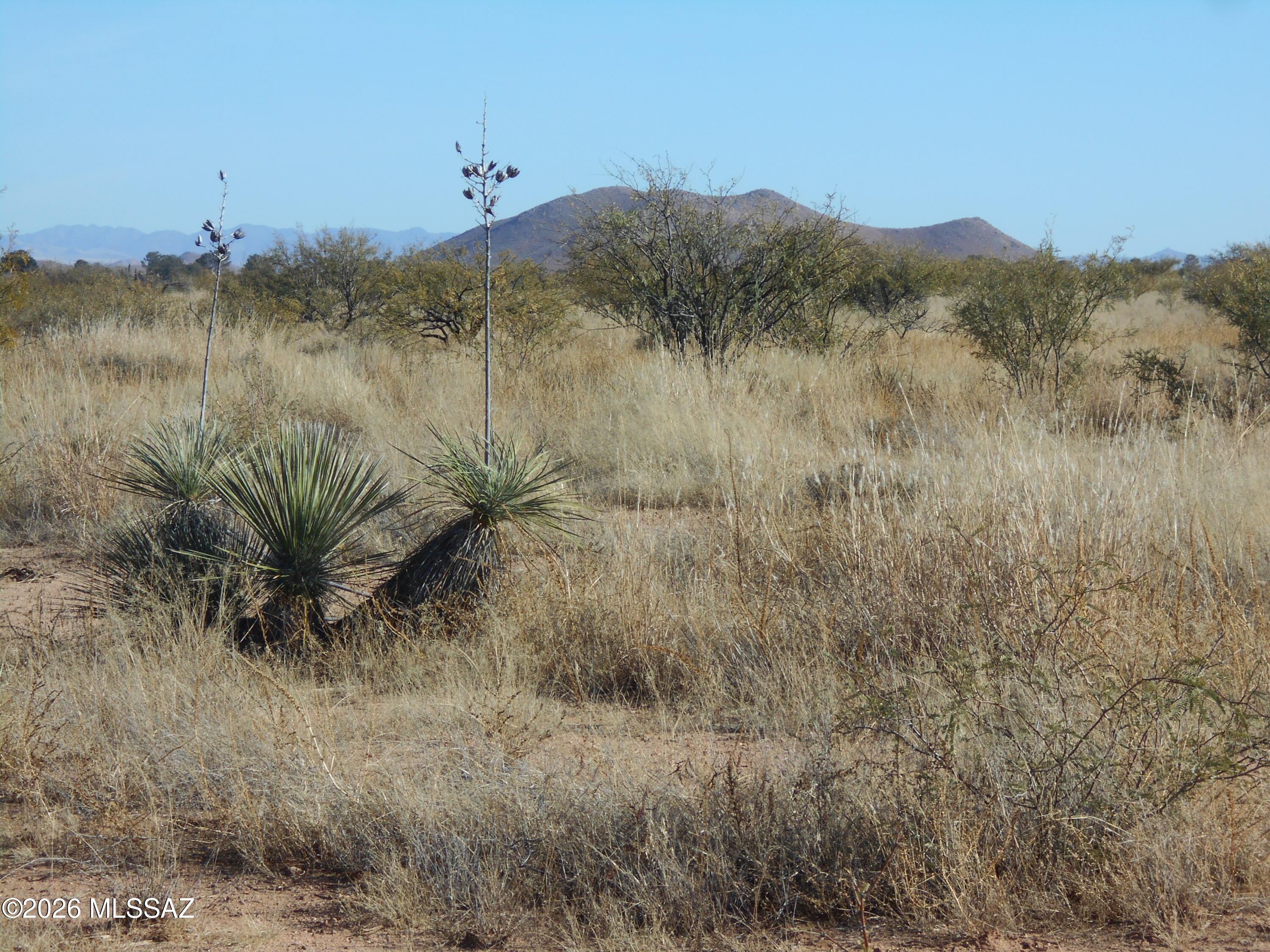 Arizona Sun Sites - Land