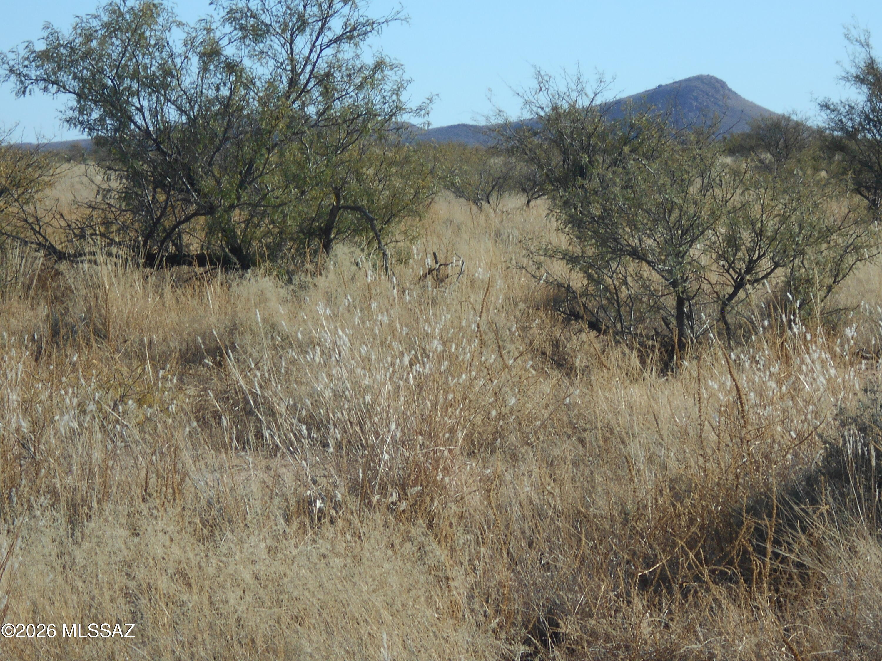 Arizona Sun Sites - Land
