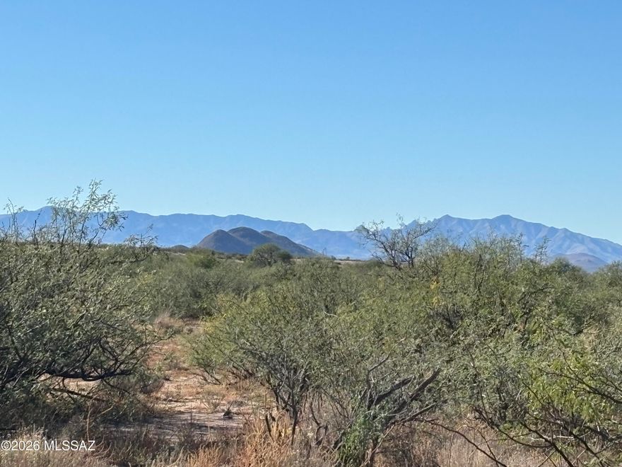 20-acre parcel with panoramic views: Chiricahua Mountains to the east, Dragoon Mtns to the West and Swiss Helms Mtns to the South. (Electric, well and septic needed). No HOA. Enjoy privacy, adventure and Arizona wilderness. Nearby Pearce/Sunizona offers groceries, dining and schools - perfect for your dream retreat.