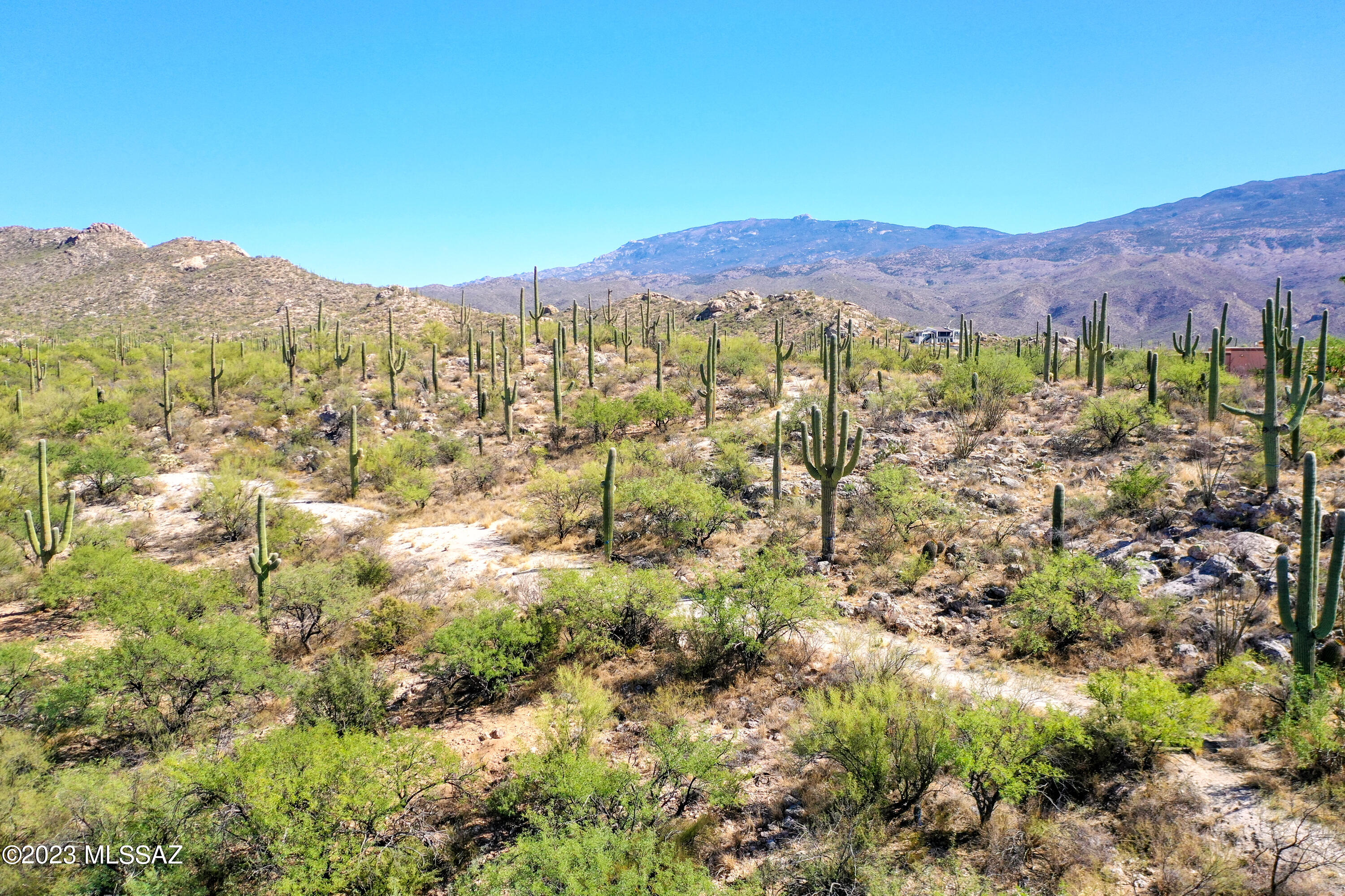La Cebadilla Estates (1-161) - Land