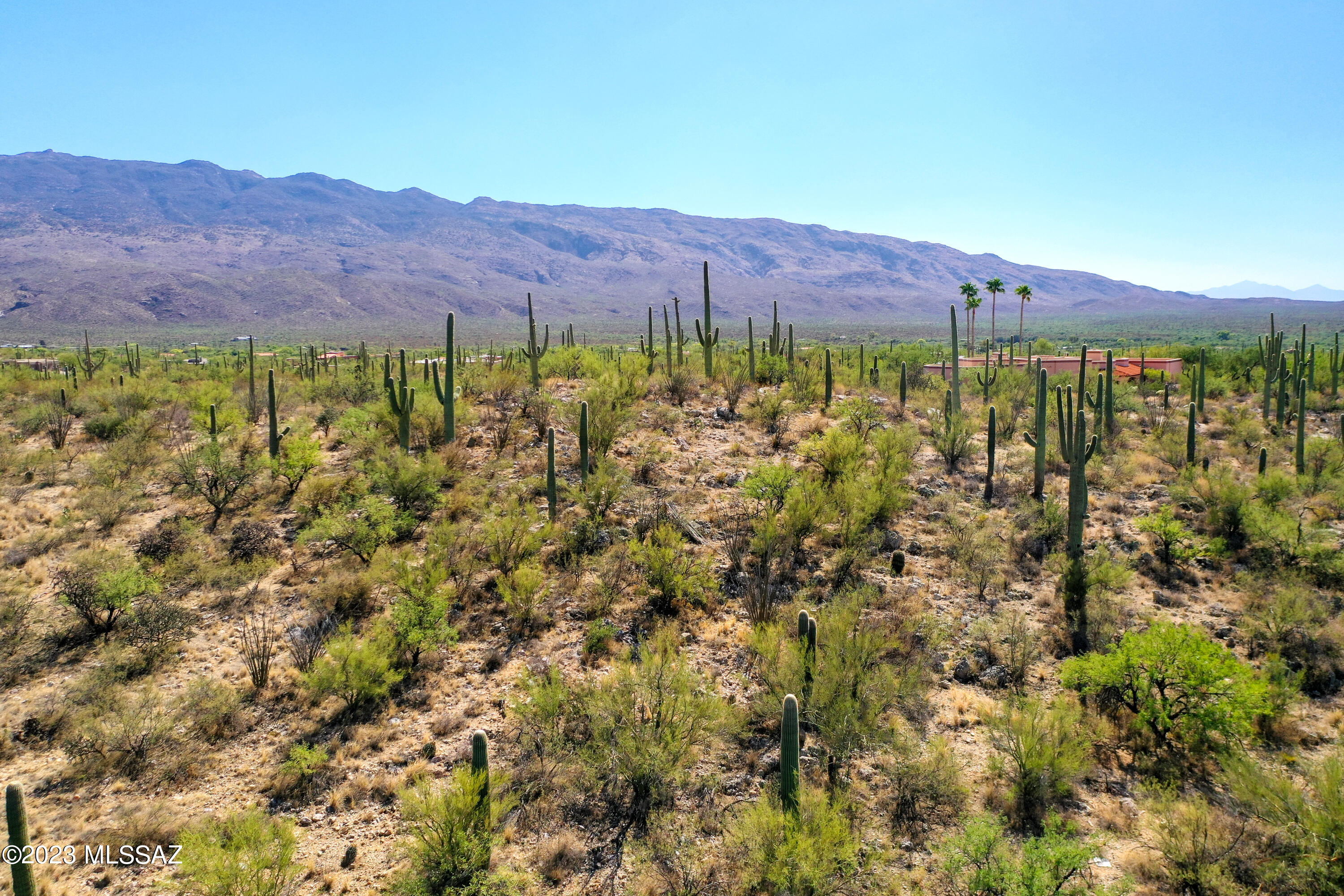 La Cebadilla Estates (1-161) - Land