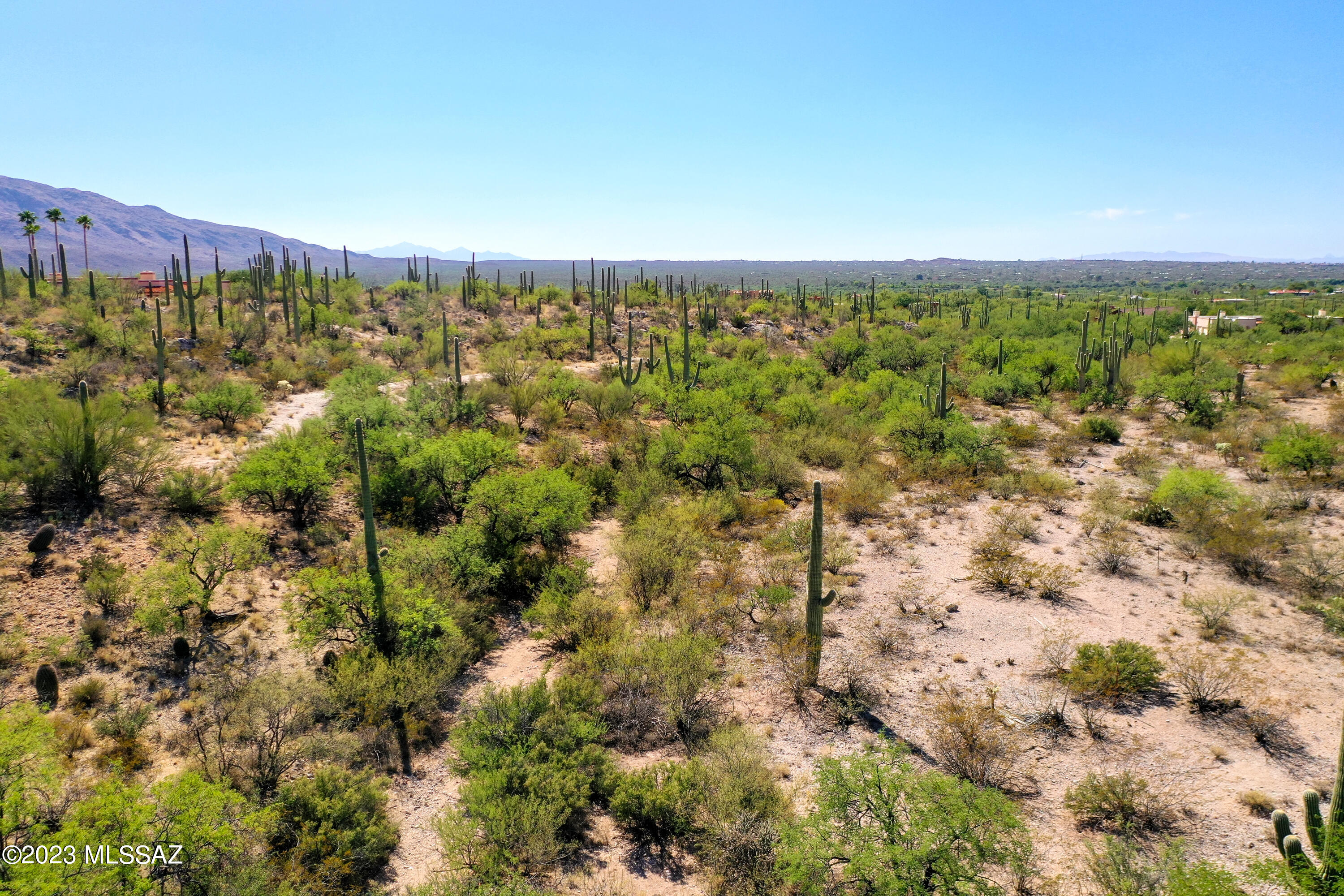 La Cebadilla Estates (1-161) - Land