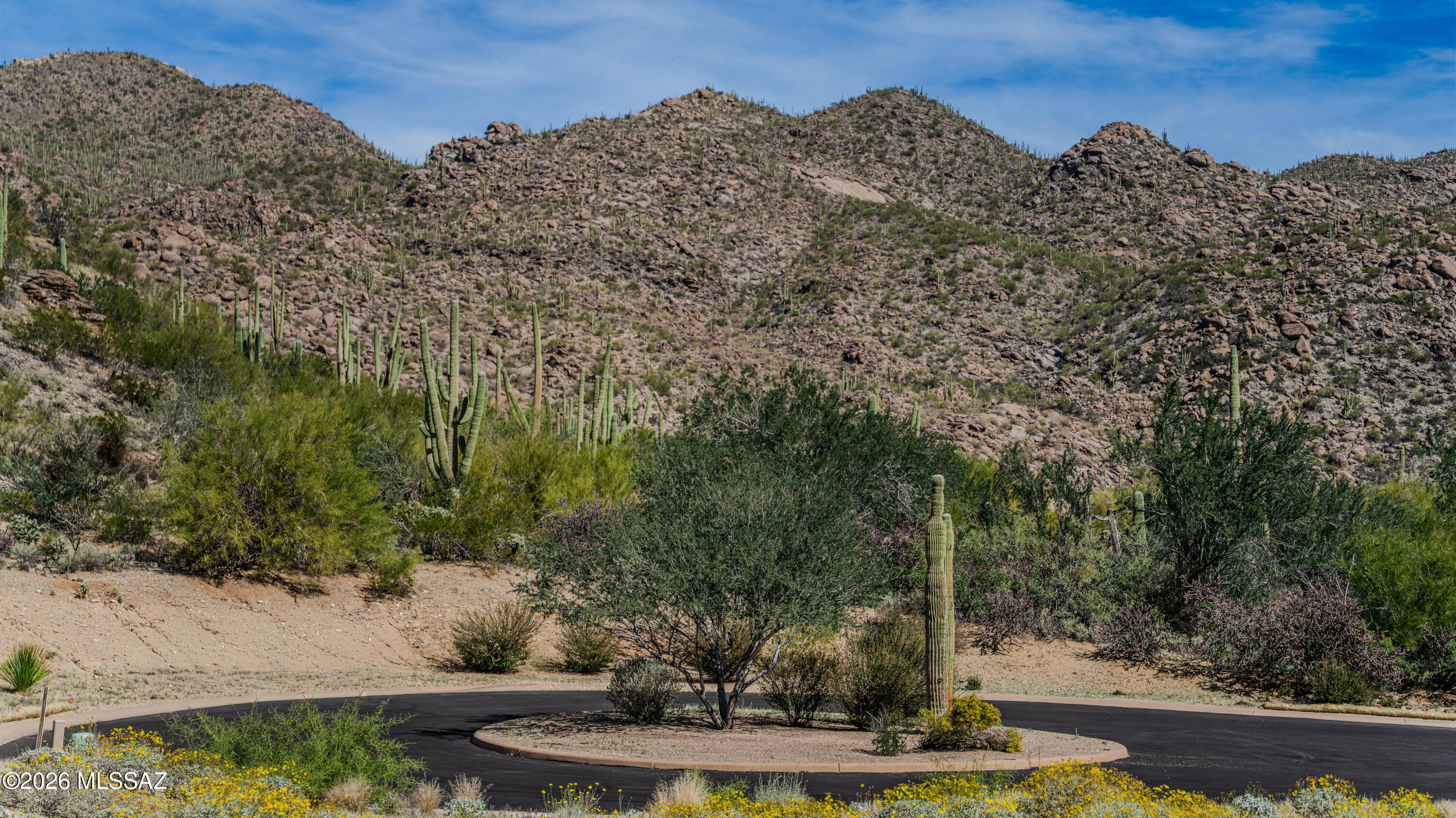 Dove Mountain Resort (1-153) - Land