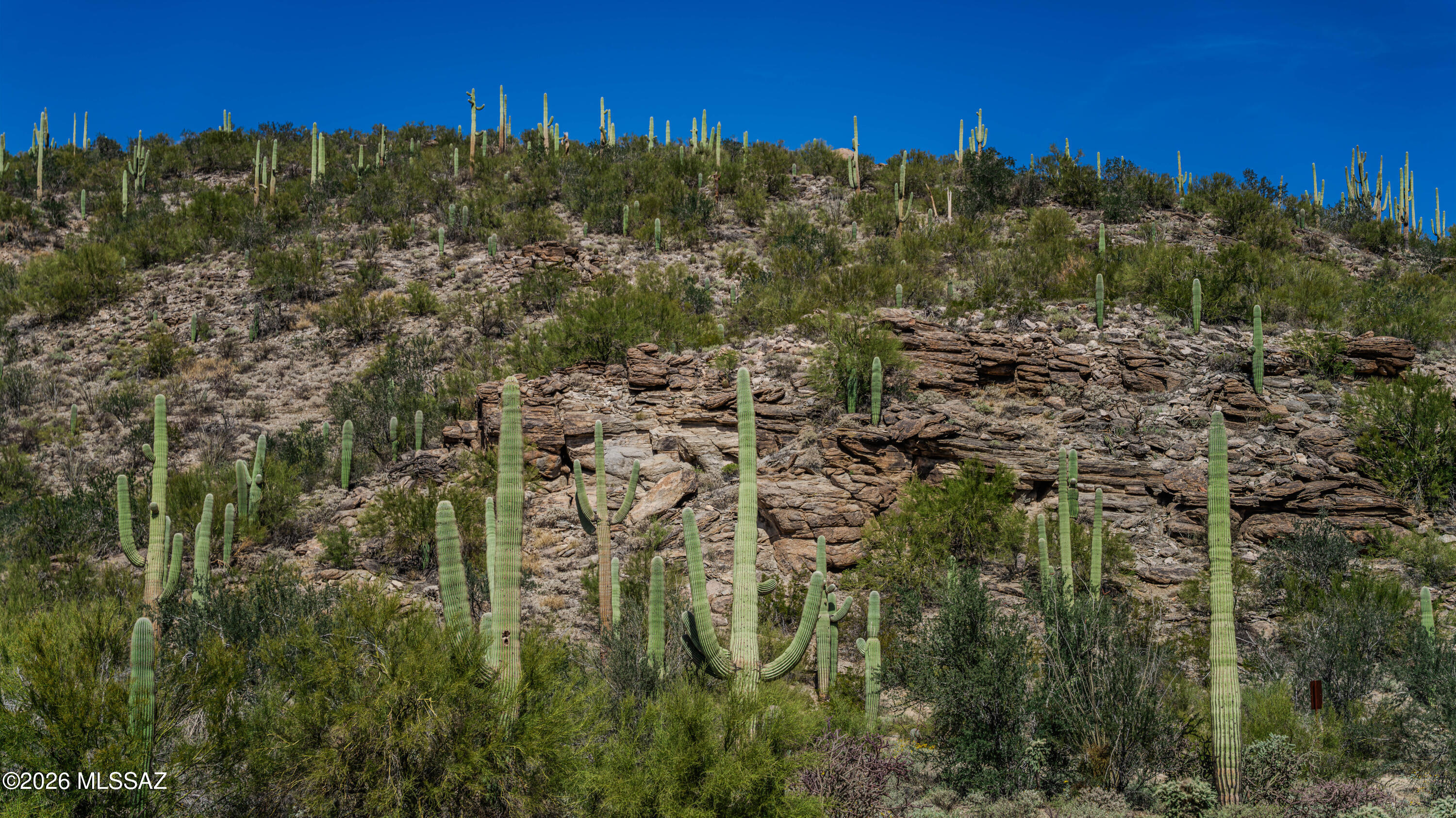 Dove Mountain Resort (1-153) - Land