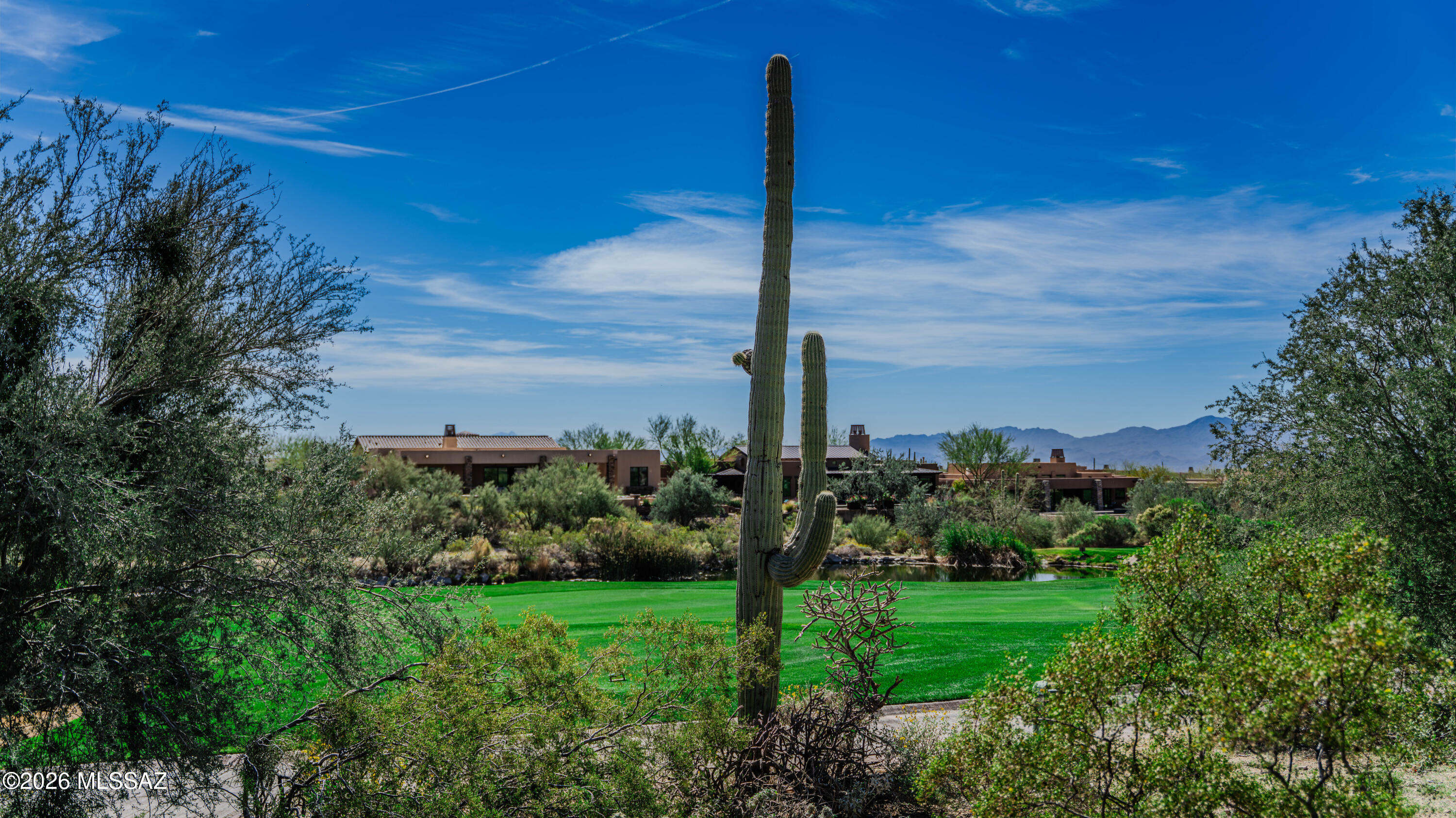 Dove Mountain Resort (1-153) - Land