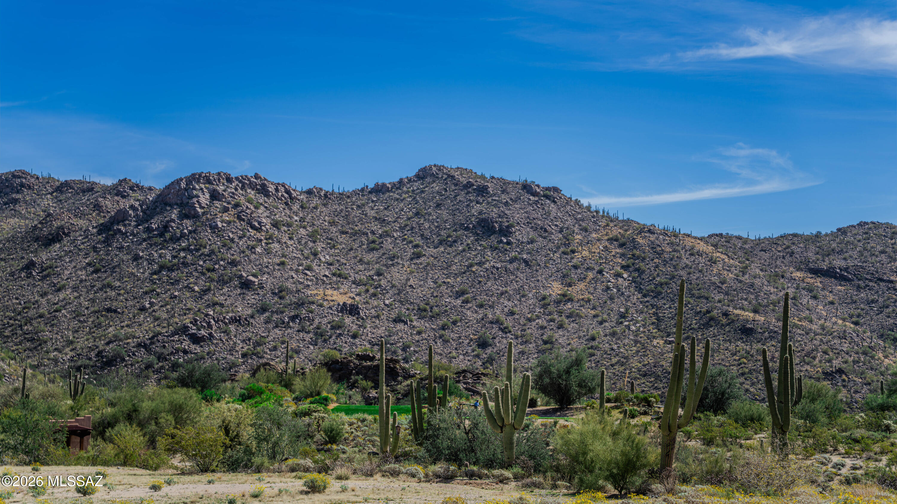 Dove Mountain Resort (1-153) - Land