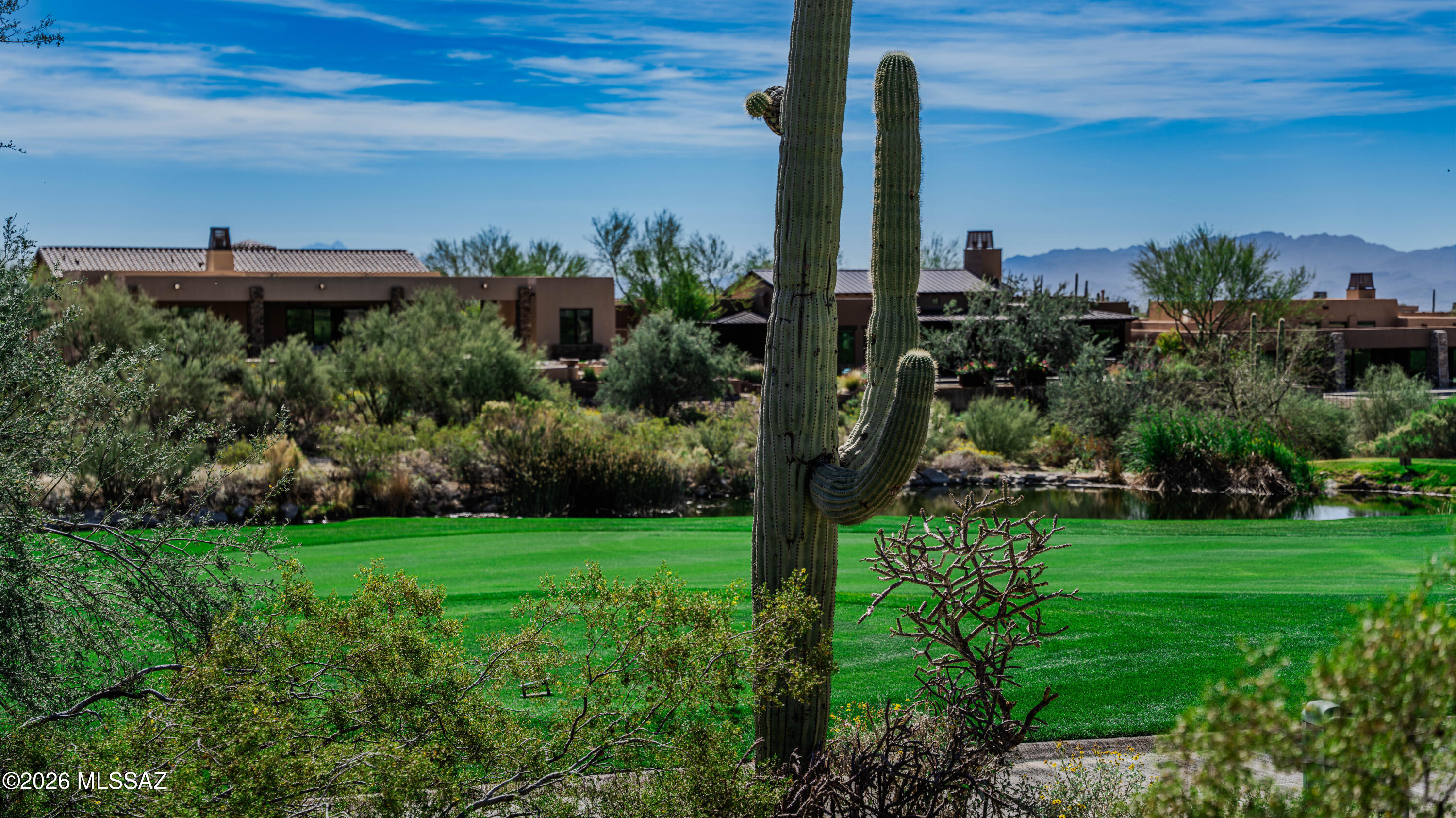 Dove Mountain Resort (1-153) - Land