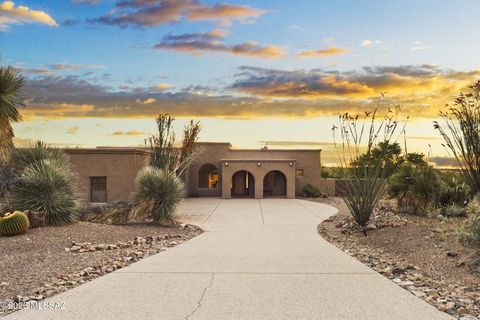 14326 E Sands Ranch Road Vail AZ 85641