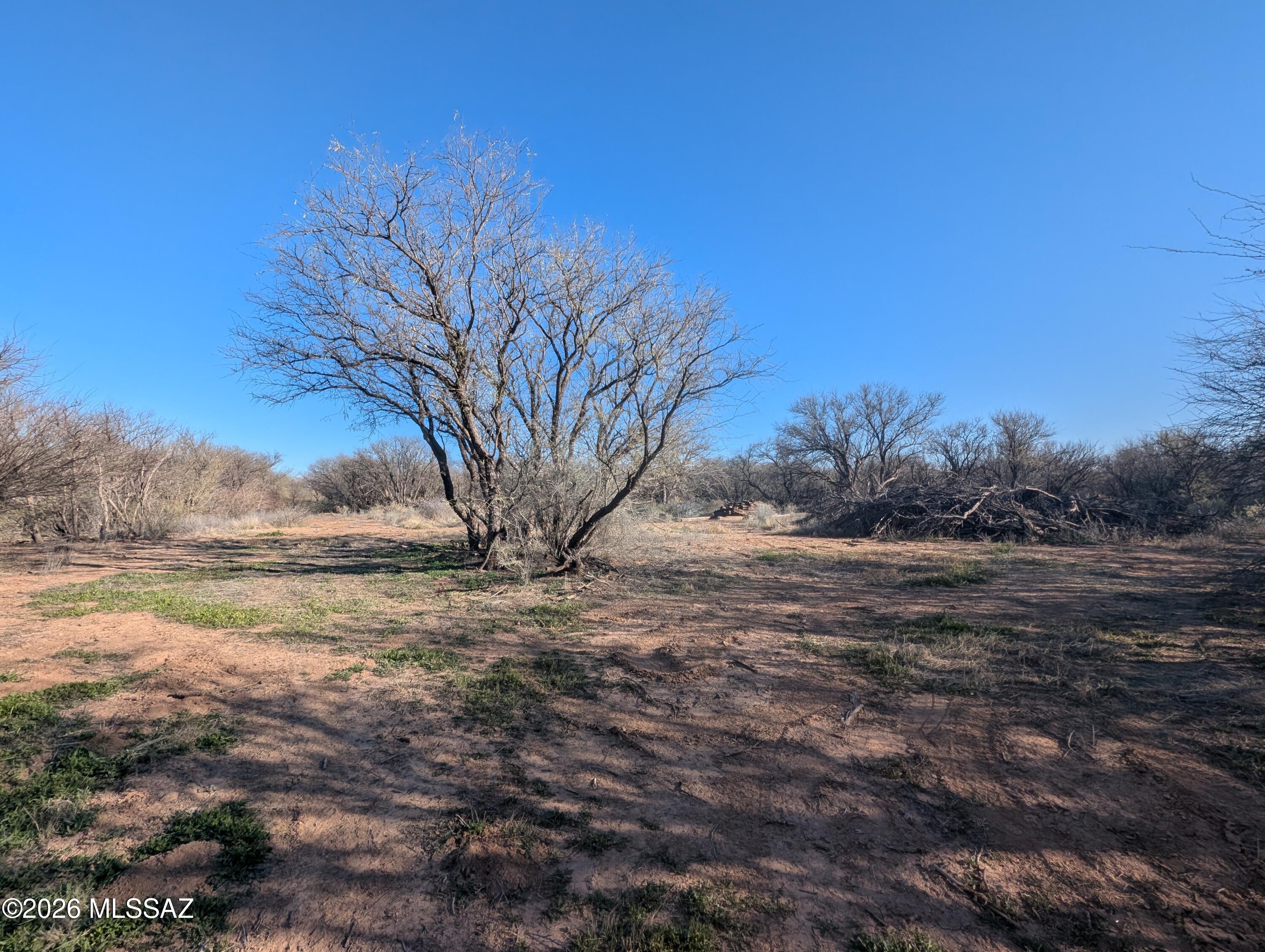 None - Land
