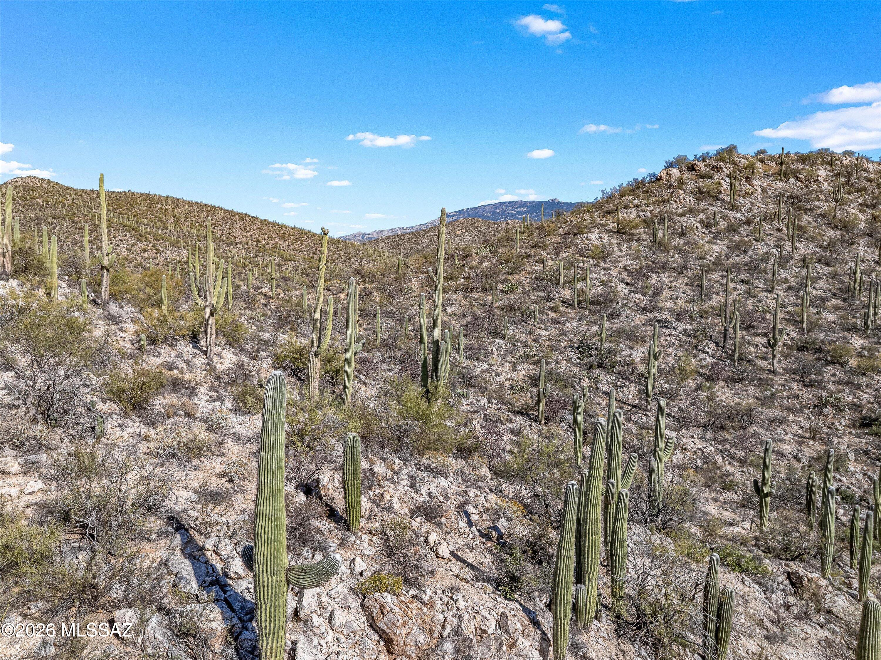 Rinconado Estates (1-13) - Land