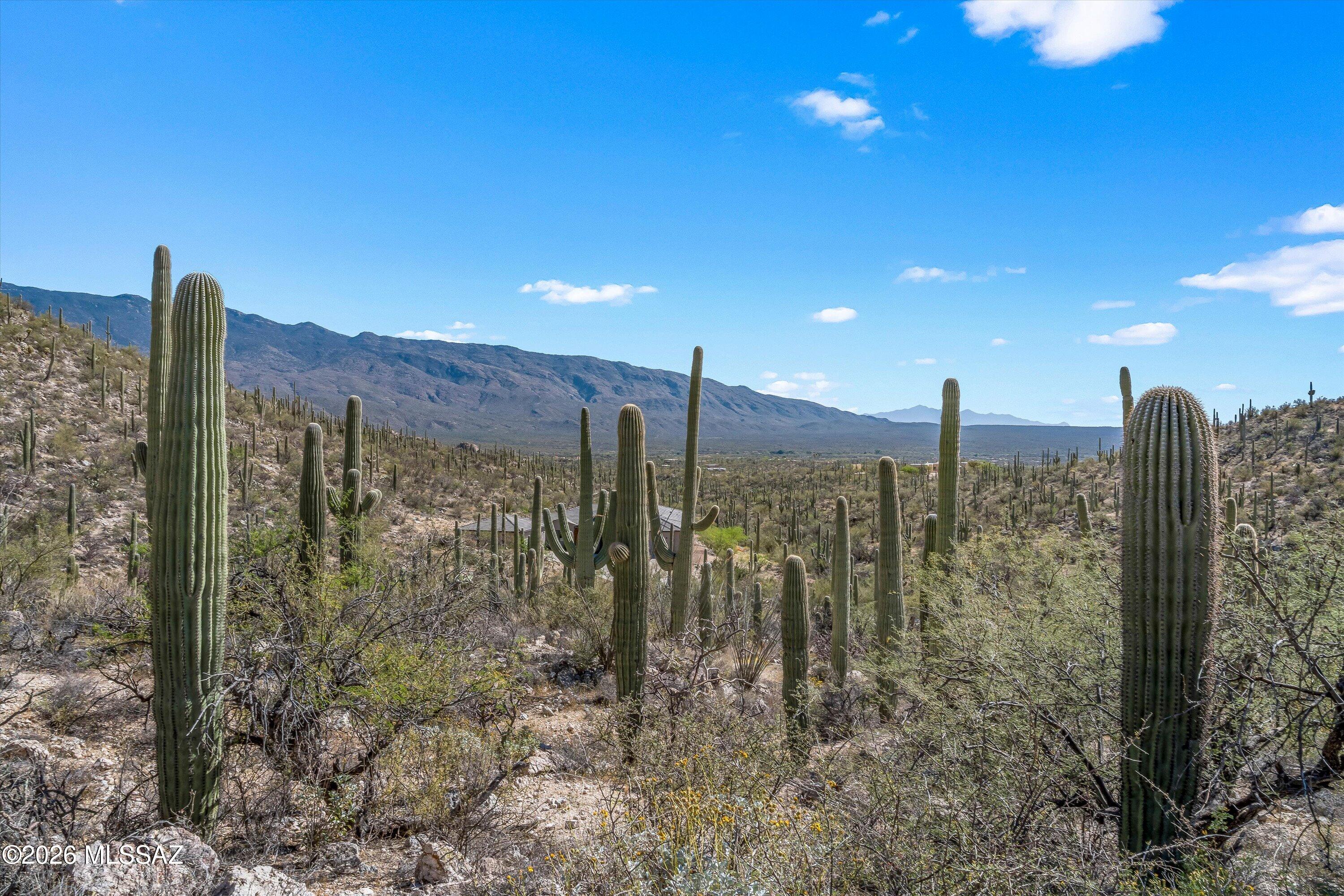 Rinconado Estates (1-13) - Land