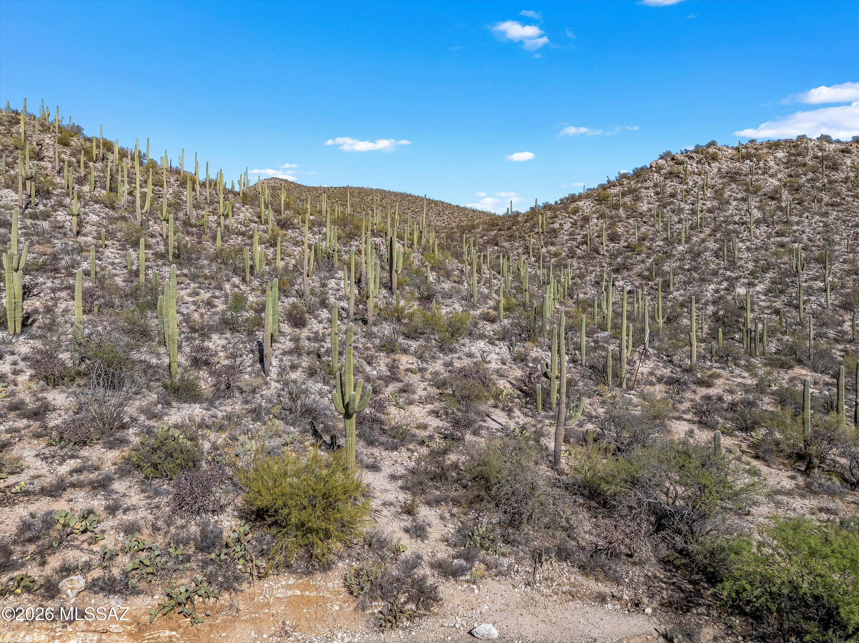 Rinconado Estates (1-13) - Land