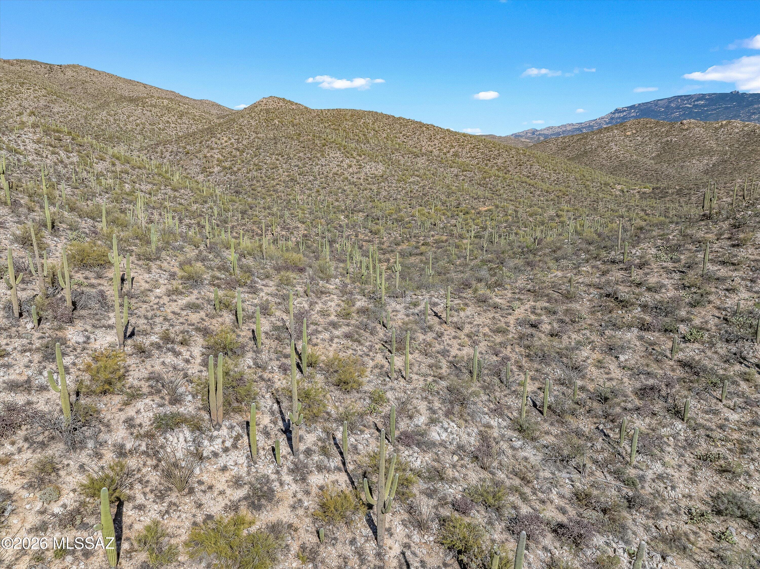 Rinconado Estates (1-13) - Land