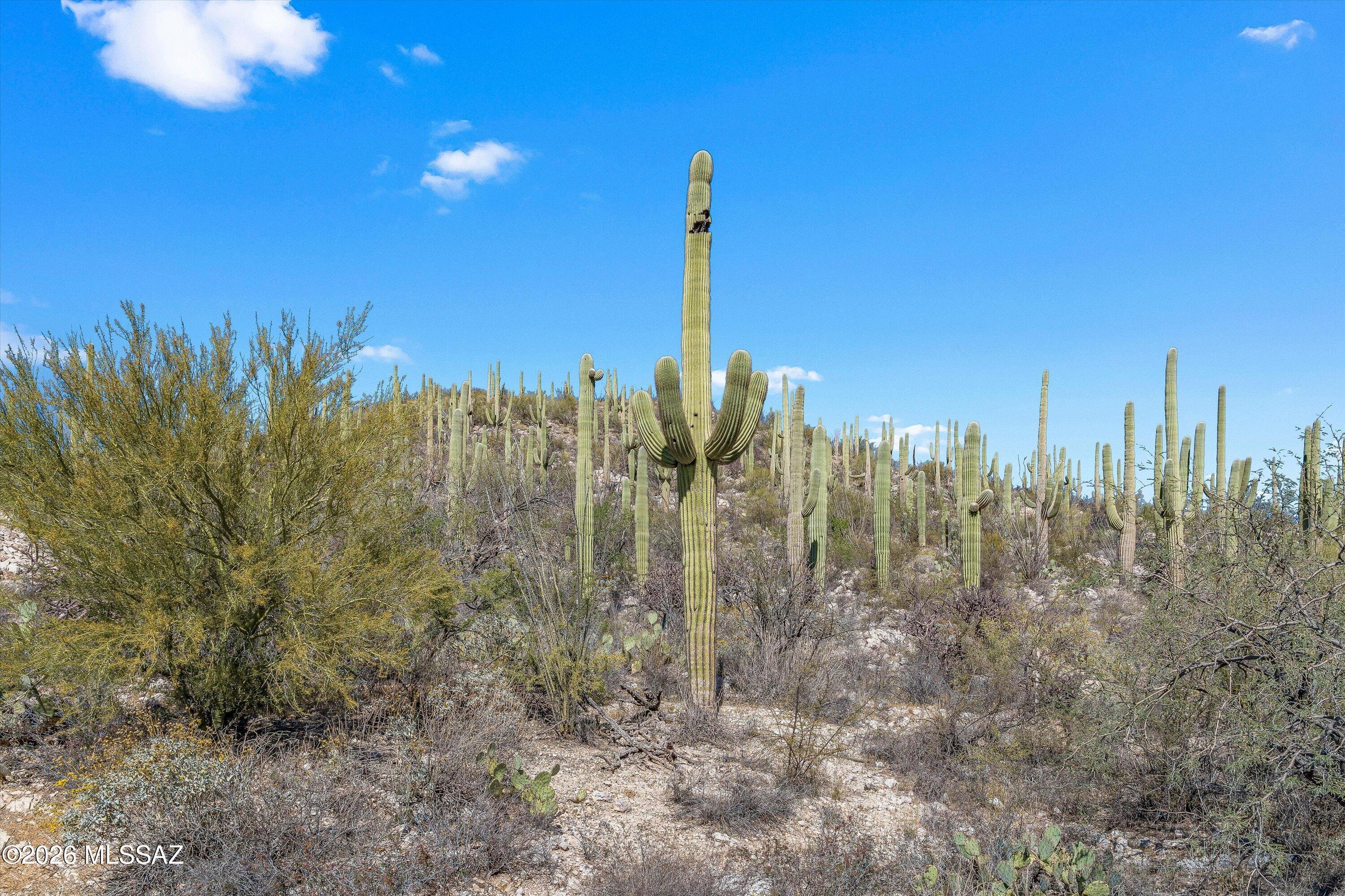 Rinconado Estates (1-13) - Land