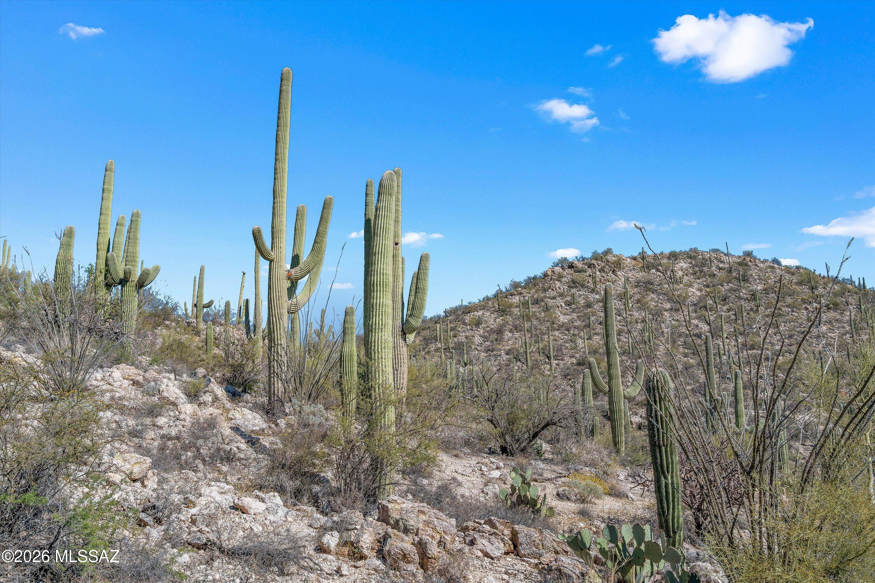 Rinconado Estates (1-13) - Land