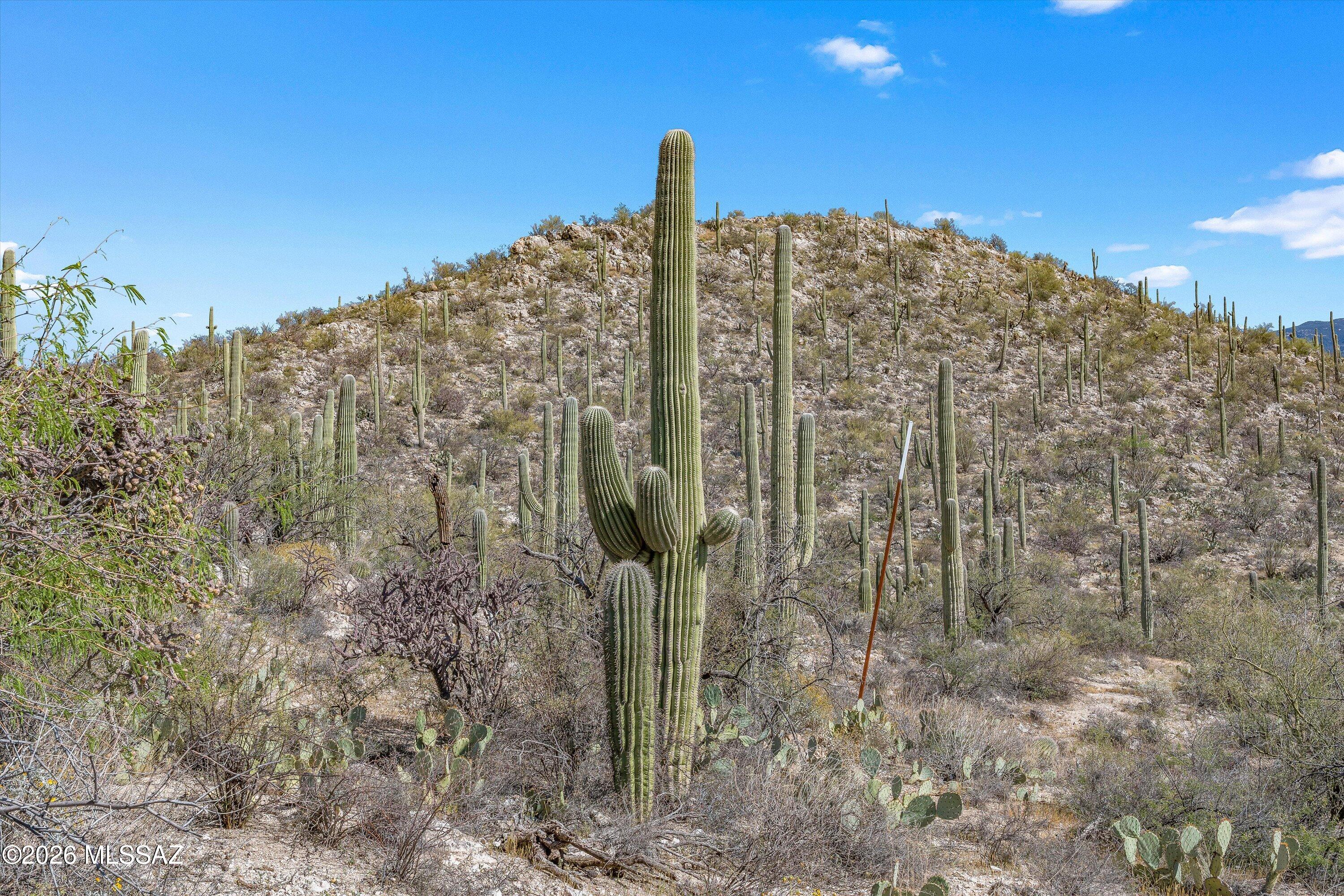 Rinconado Estates (1-13) - Land